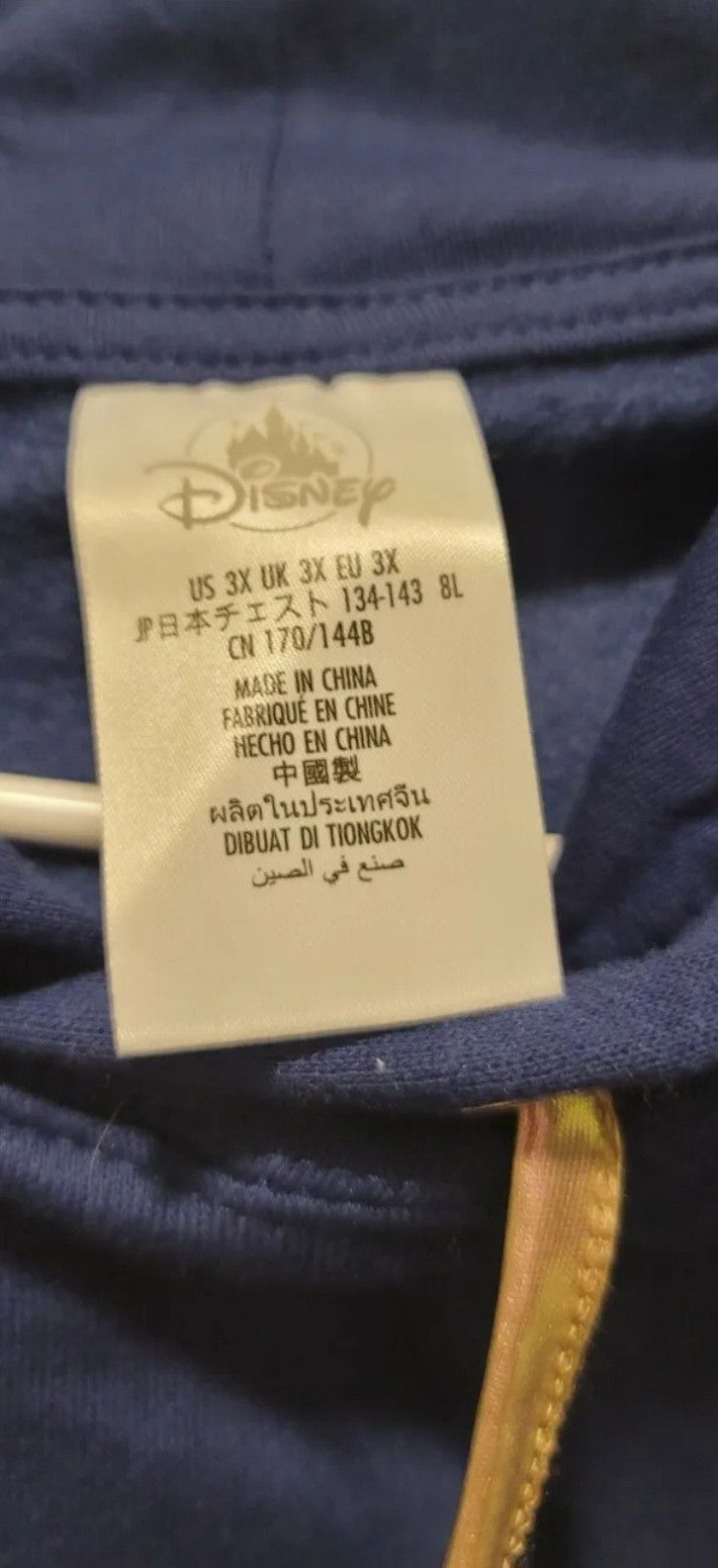 Disney Walt Disney World 50th Anniversary Pullover Hoodie XXXL 3X Size 3XL / US 20-22 - 2 Thumbnail