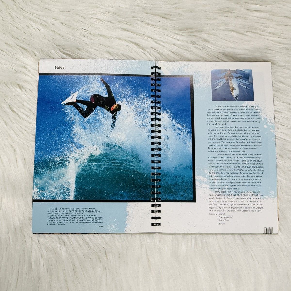 Dogtown Zephyr DOGTOWN Urban Art SUPER X MEDIA Masuda & Friedman Size ONE SIZE - 4 Thumbnail