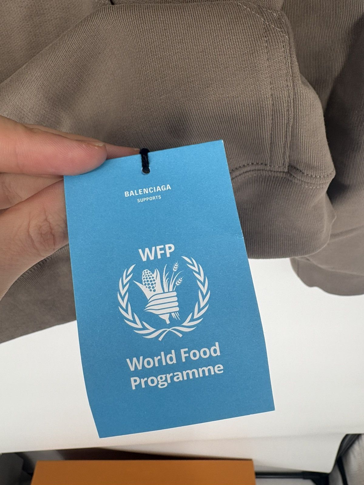 Balenciaga Balenciaga WFP Hoodie Size US XL / EU 56 / 4 - 6 Thumbnail