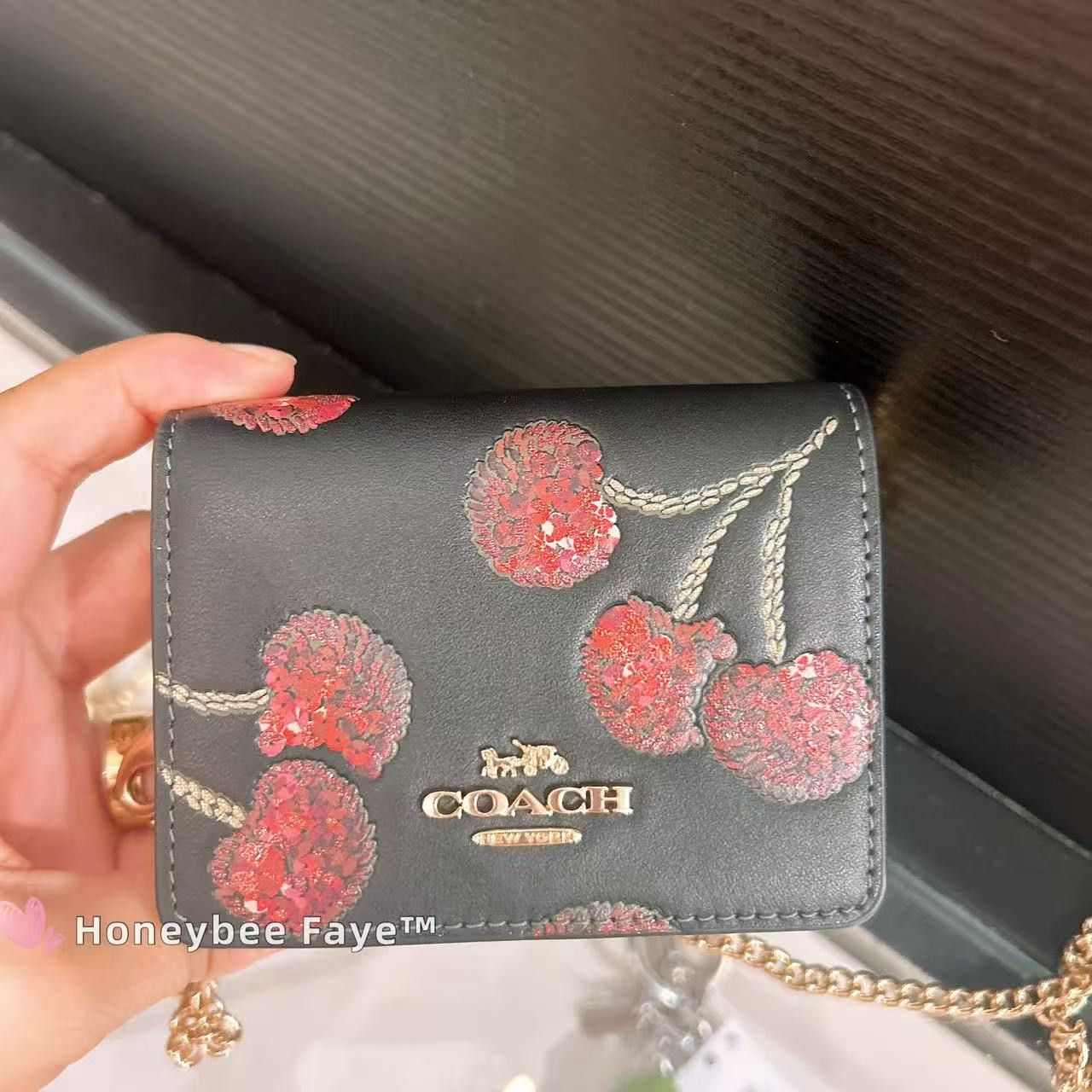 Coach NWT Coach CDE98 Mini Wallet On A Chain With Cherry Print Size ONE SIZE - 3 Thumbnail
