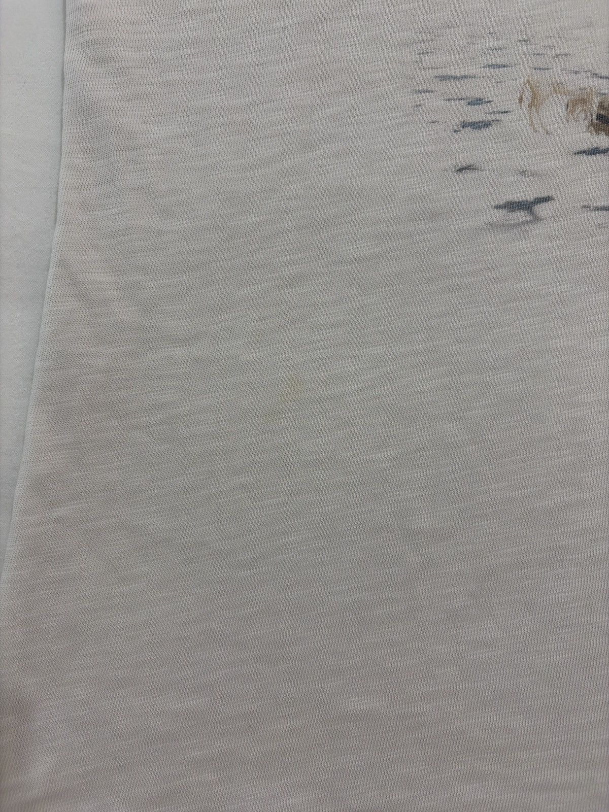 Siberia Hills Siberia Hills Animal Kingdom Tee Size US M / EU 48-50 / 2 - 9 Thumbnail