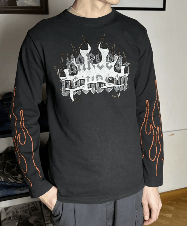Harley Davidson Harley Davidson Longsleeve Tee flame Size US M / EU 48-50 / 2 - 1 Thumbnail