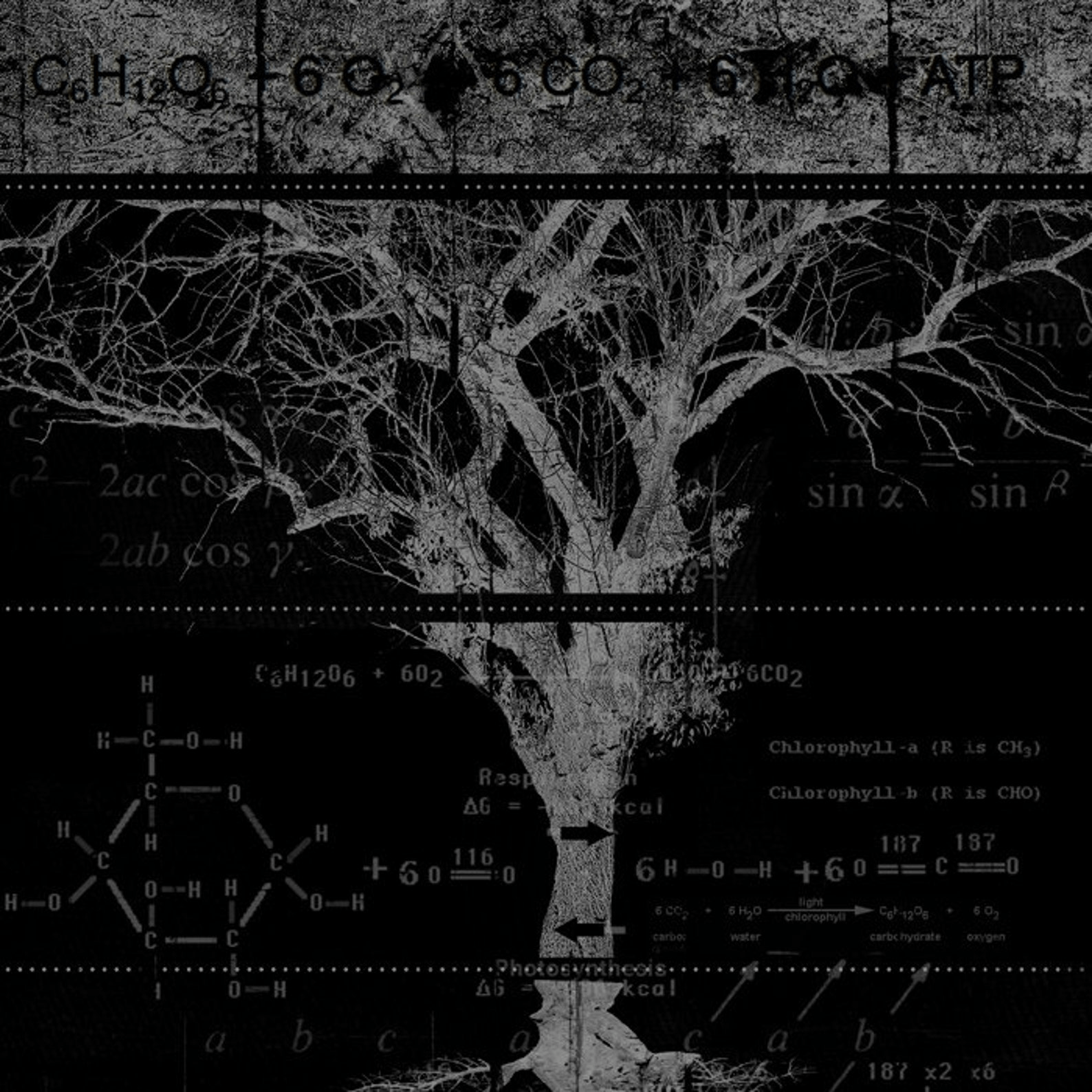 Designer × Vintage Men’s Tree Diagram Schematic T-Shirt Size US L / EU 52-54 / 3 - 3 Thumbnail