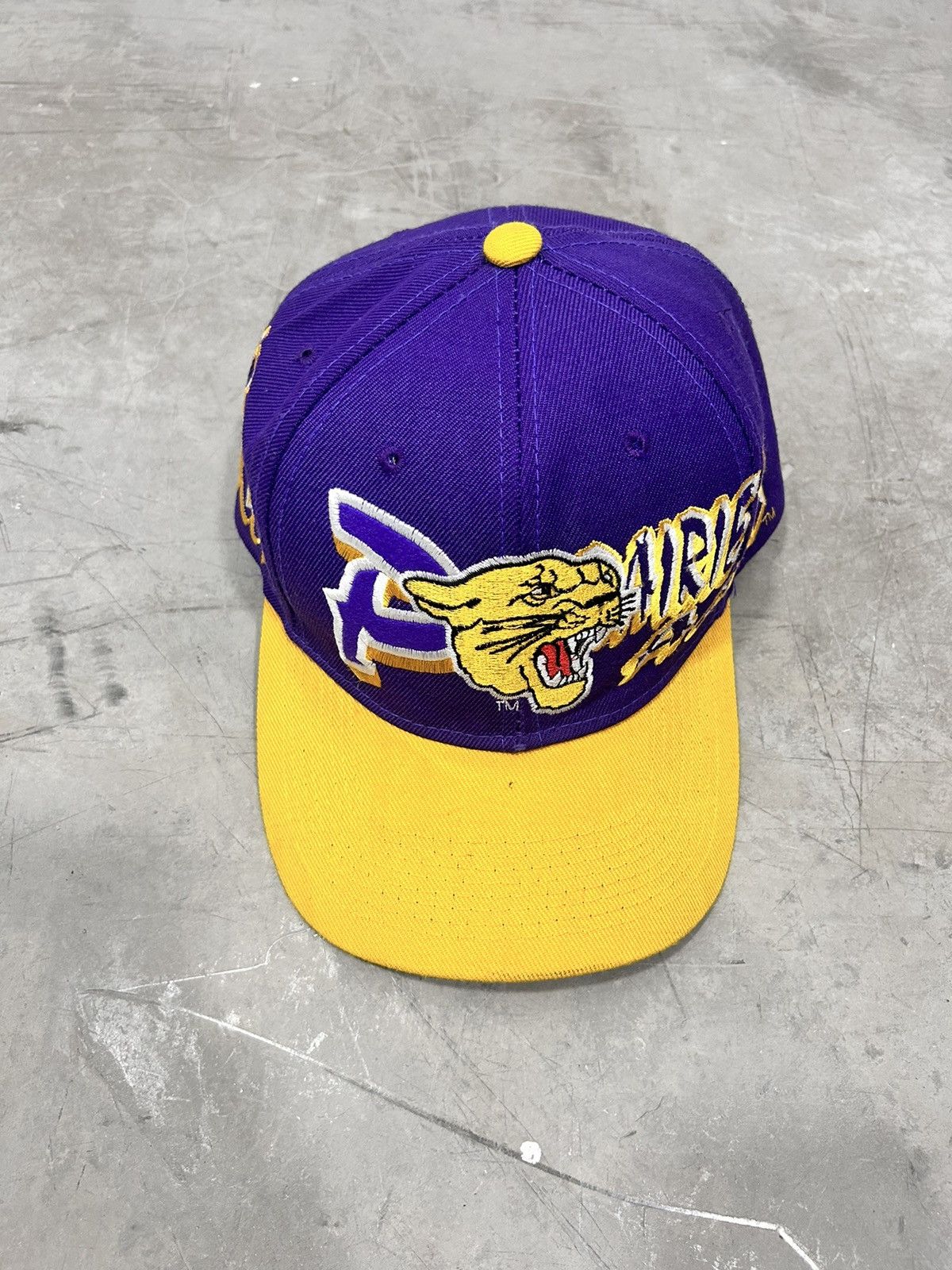 image of American College x Vintage College Panthers Vintage Hat 90’S in Purple, Men's