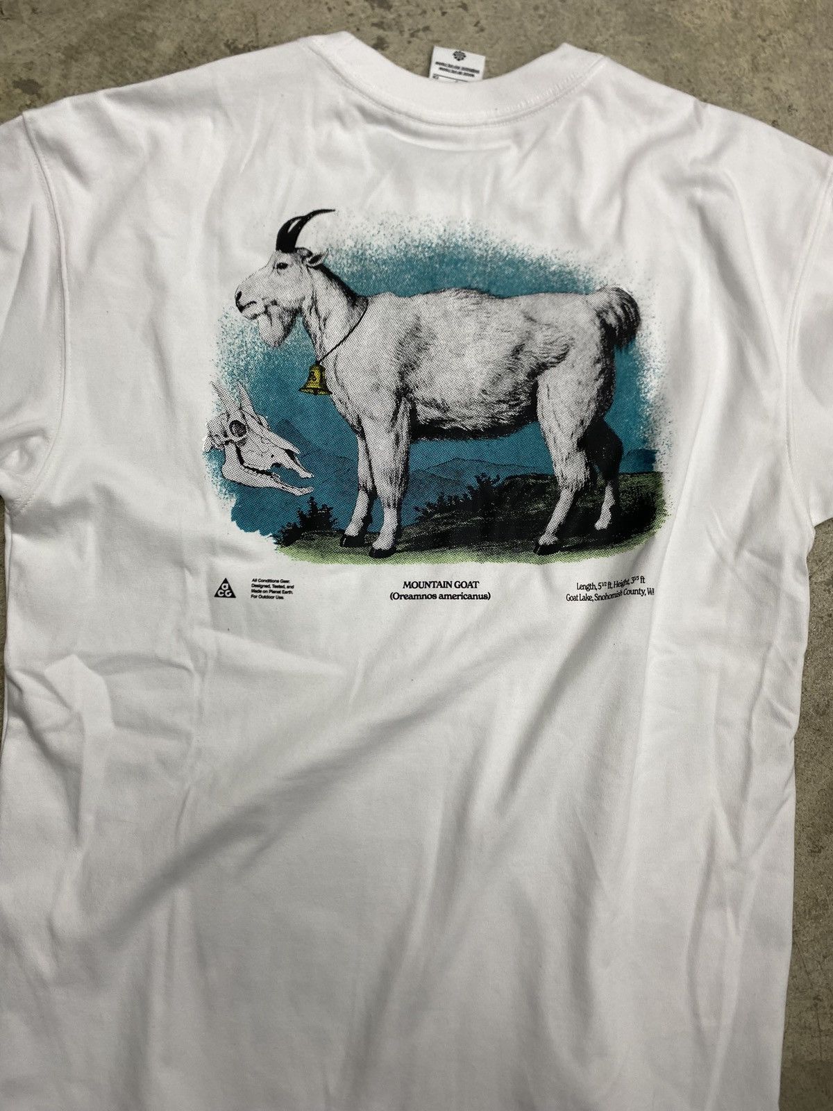 Nike ACG Nike ACG Goat Tee Size US S / EU 44-46 / 1 - 4 Thumbnail