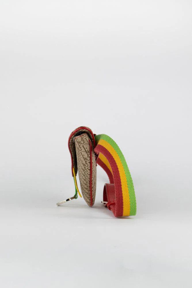 Dior Dior Rasta Trodder Saddle Belt Bag Size ONE SIZE - 3 Thumbnail