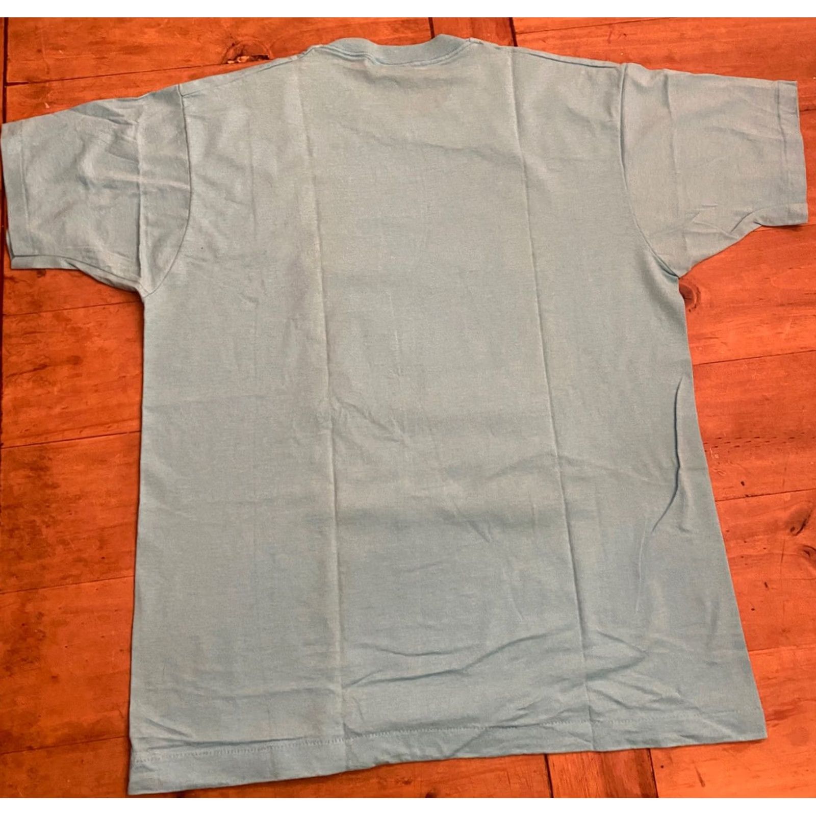Vintage VINTAGE 1991 Destination Mount Diablo Autumn Classic Single Stitch Size XL T-Shirt Mens Turquoise Size US XL / EU 56 / 4 - 8 Thumbnail