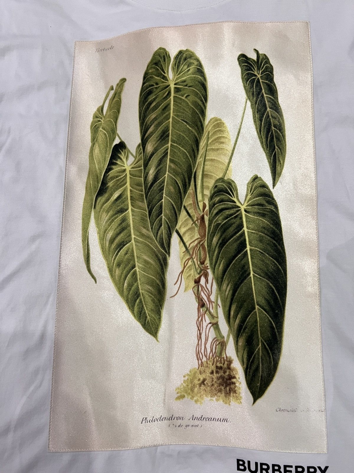 Burberry Burberry Botanical Sketch T-Shirt Size US S / EU 44-46 / 1 - 3 Thumbnail