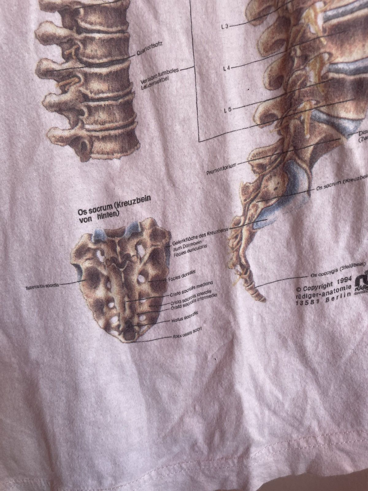Arts & Science × Band Tees × Vintage Skeleton Anatomy Rudiger 1994 Spinal Collum Science T Shirt Size US L / EU 52-54 / 3 - 7 Thumbnail