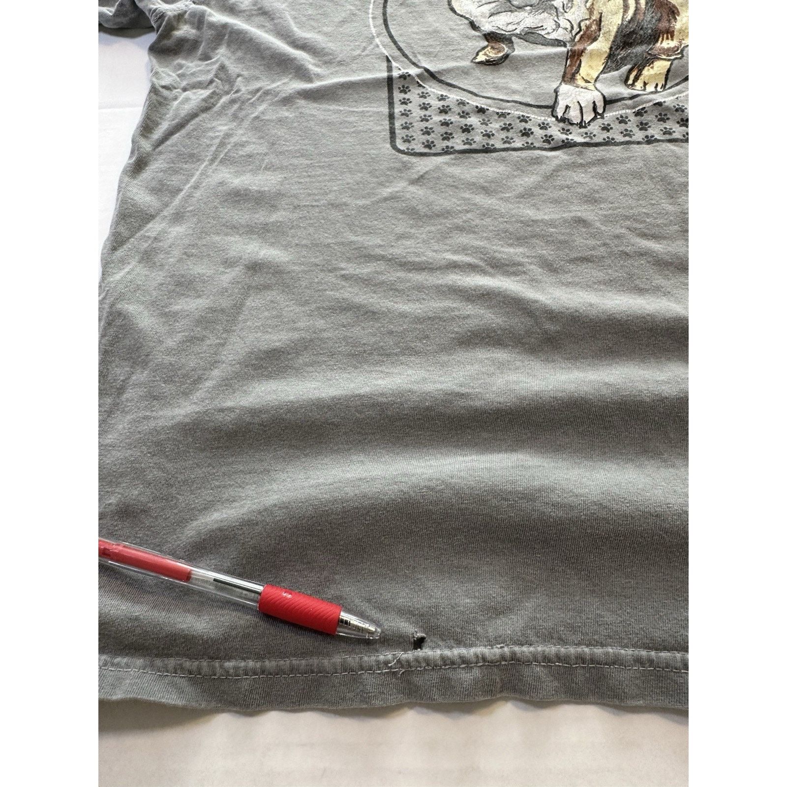 Comfort Colors Comfort Colors Backwoods Born & Raised Dog T-shirt XL Gray Size US XL / EU 56 / 4 - 9 Thumbnail