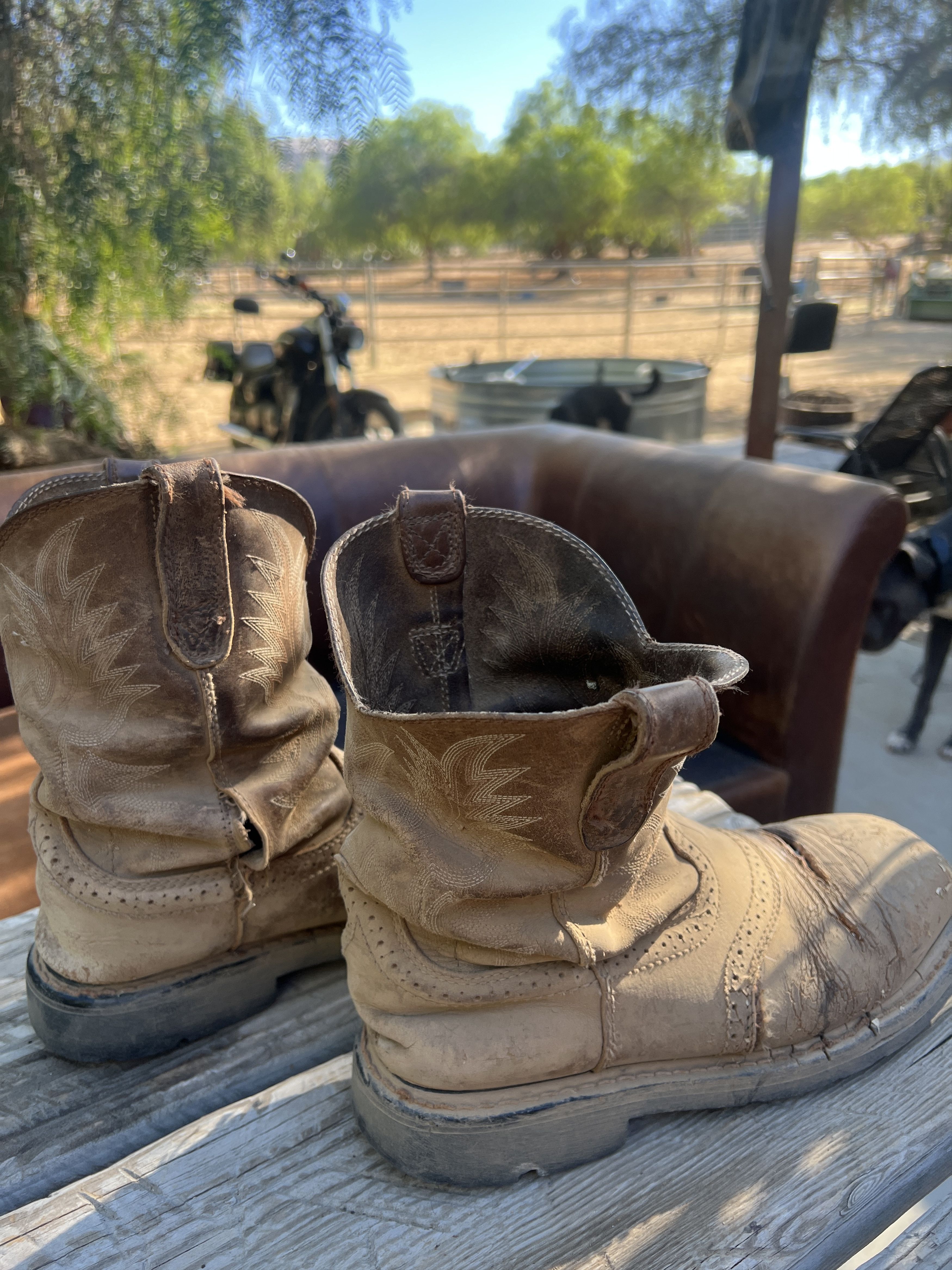 Ariat Steel-toed, Ariat cowboy boots Size US 10 / EU 43 - 4 Thumbnail