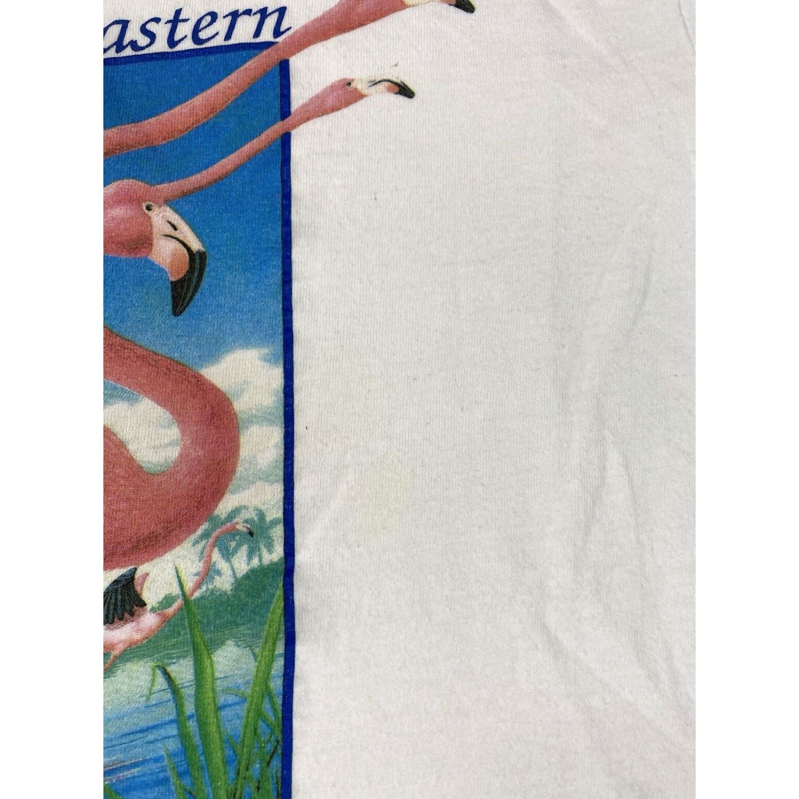 Vintage VINTAGE Eastern Airlines Graphic T-shirt Men Medium USA 90s Single Stitch Shirt Adult Medium White Cotton 90s USA Mens Graphics Size US M / EU 48-50 / 2 - 3 Thumbnail