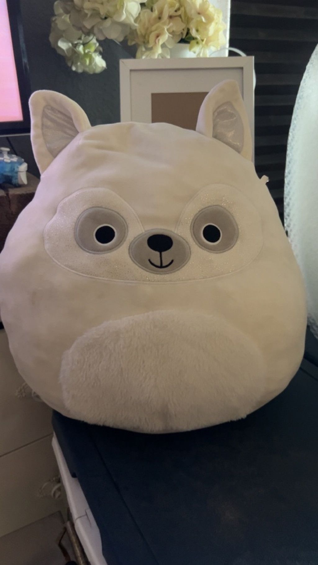 Other Squishmallow White & Gray Raccoon Stuffed Animal One Size Size ONE SIZE - 2 Thumbnail