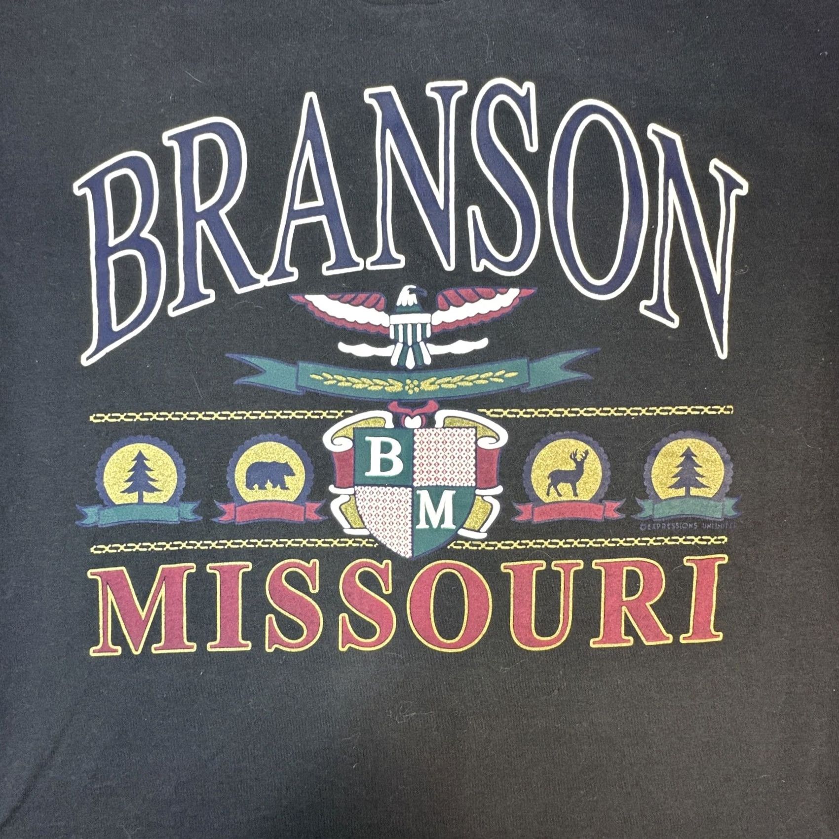 Hanes VINTAGE Hanes T-Shirt Black 1990s Crew Neck Unisex Adults Size M Short Sleeve Graphic Branson Missouri BM Single Stitch Size US M / EU 48-50 / 2 - 3 Thumbnail