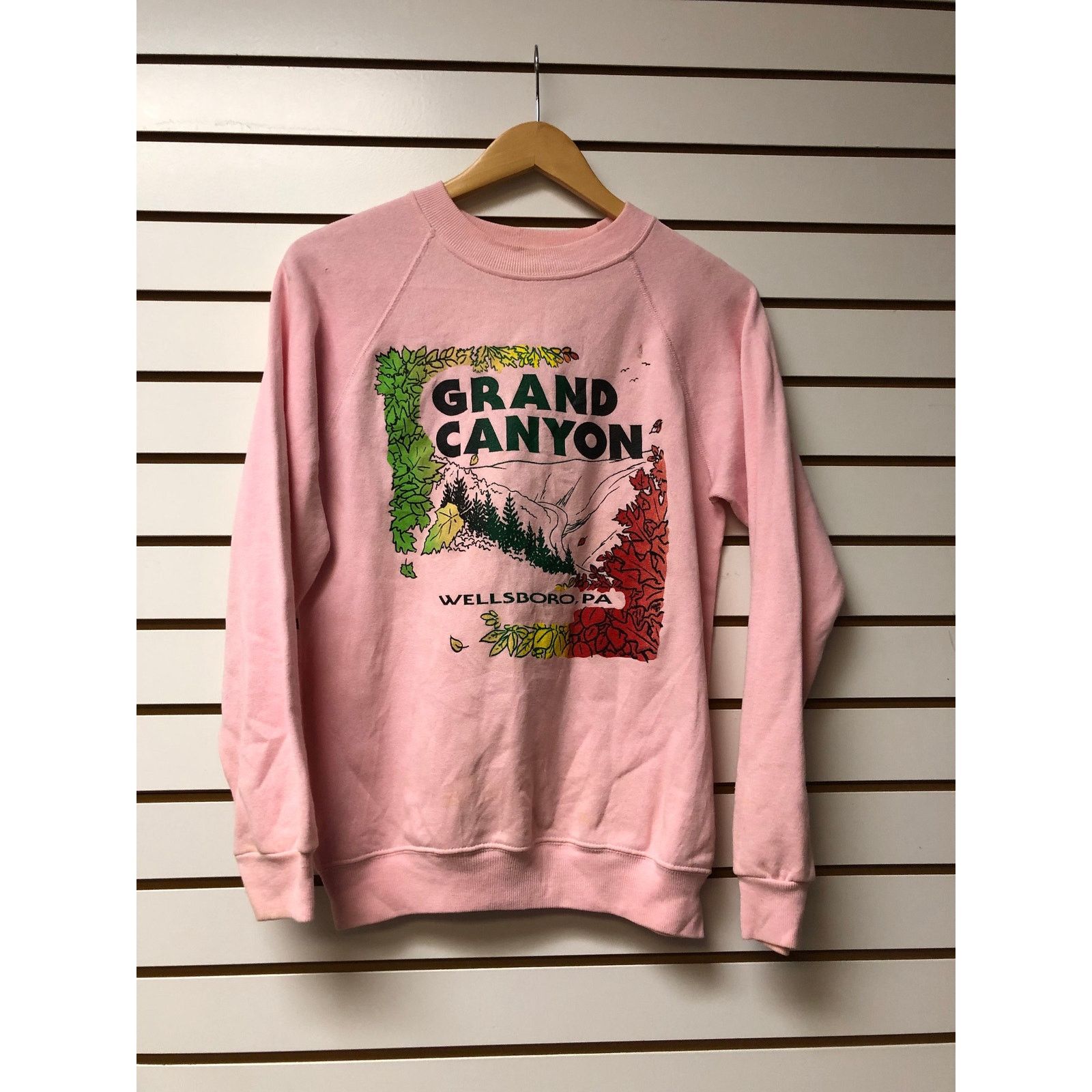 Hanes Vintage Grand Canyon Sweatshirt size medium 1990s 80s Size US M / EU 48-50 / 2 - 1 Thumbnail