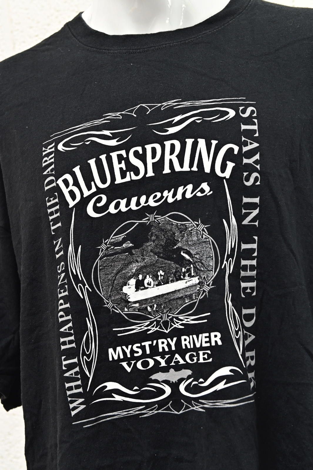 Gildan Gildan Black Bluespring Caverns T-Shirt Mens Size XL Size US XL / EU 56 / 4 - 2 Thumbnail