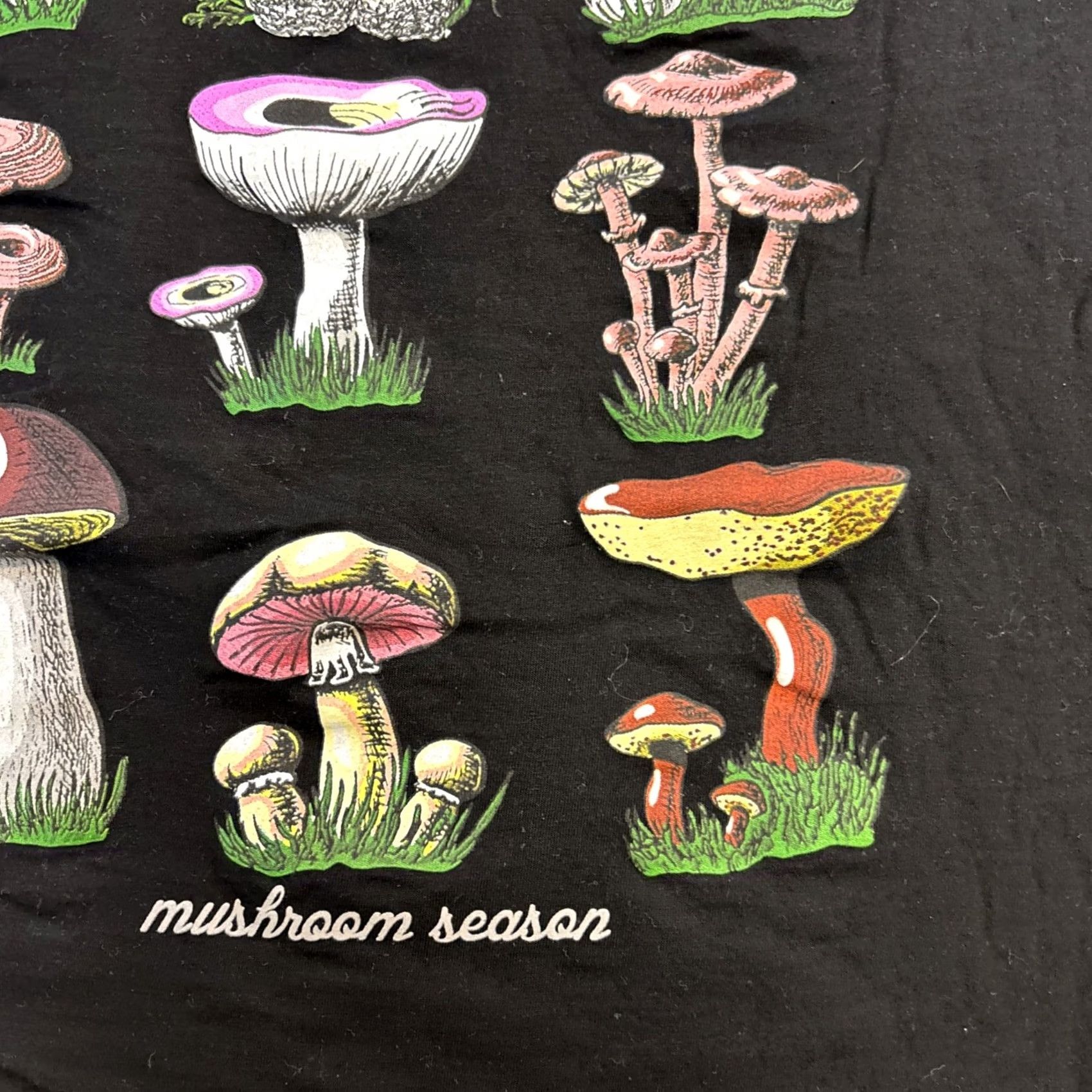 Vintage Poisonous Mushroom Season Funny Fungi Mycology Foraging T-Shirt XL NWOT Unisex Adults Black Cotton Short Sleeve Graphic Print Modern Trending 2020s Size US XL / EU 56 / 4 - 6 Thumbnail