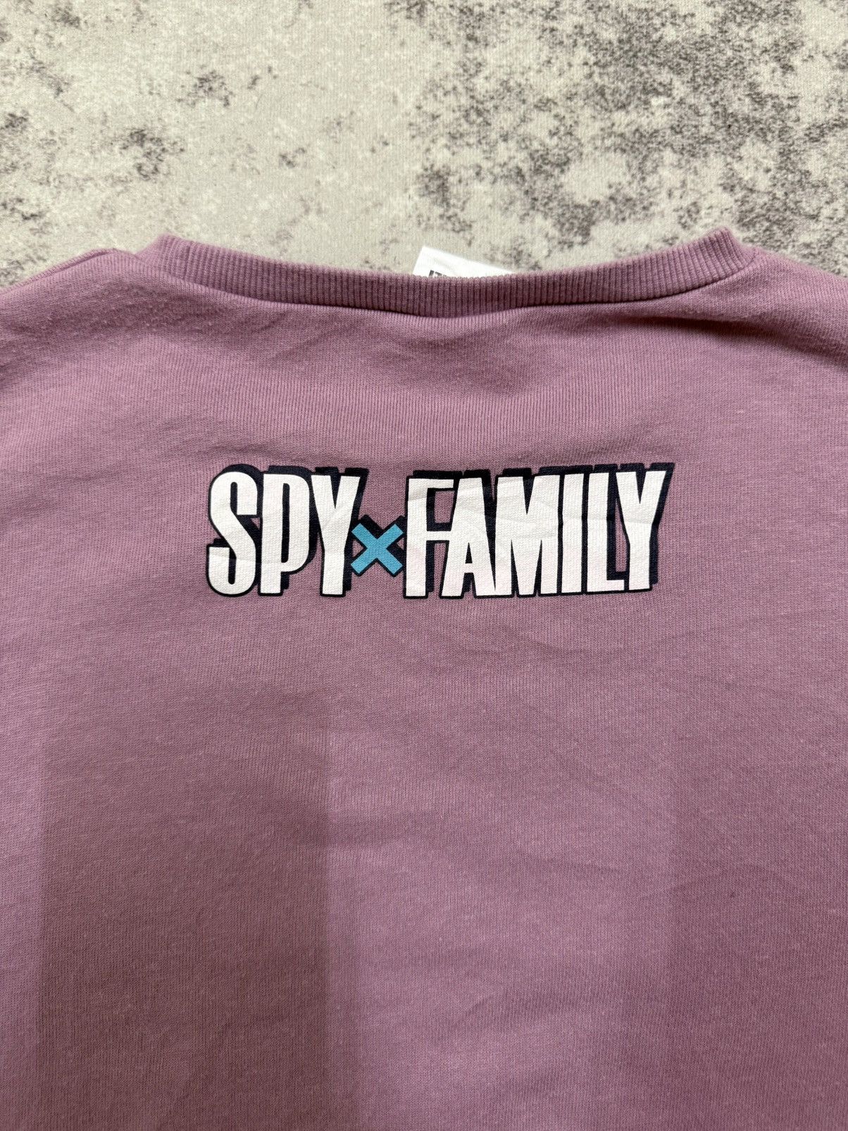 Anime Spy x family Character Anya Forger Anime Series Sweatshirt Size US S / EU 44-46 / 1 - 12 Thumbnail