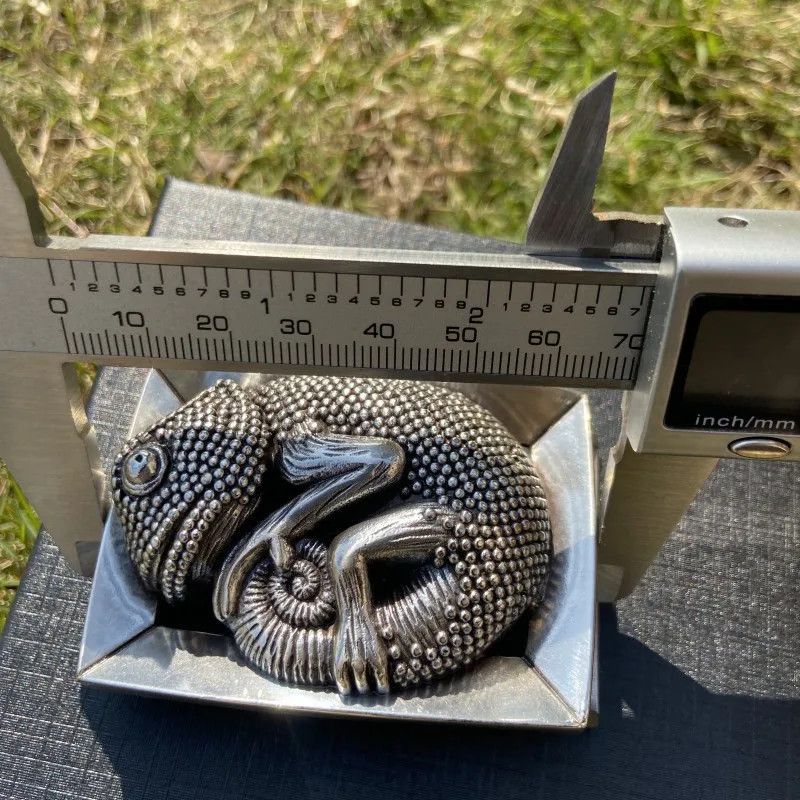 Other Chameleon Buckle Size ONE SIZE - 6 Thumbnail
