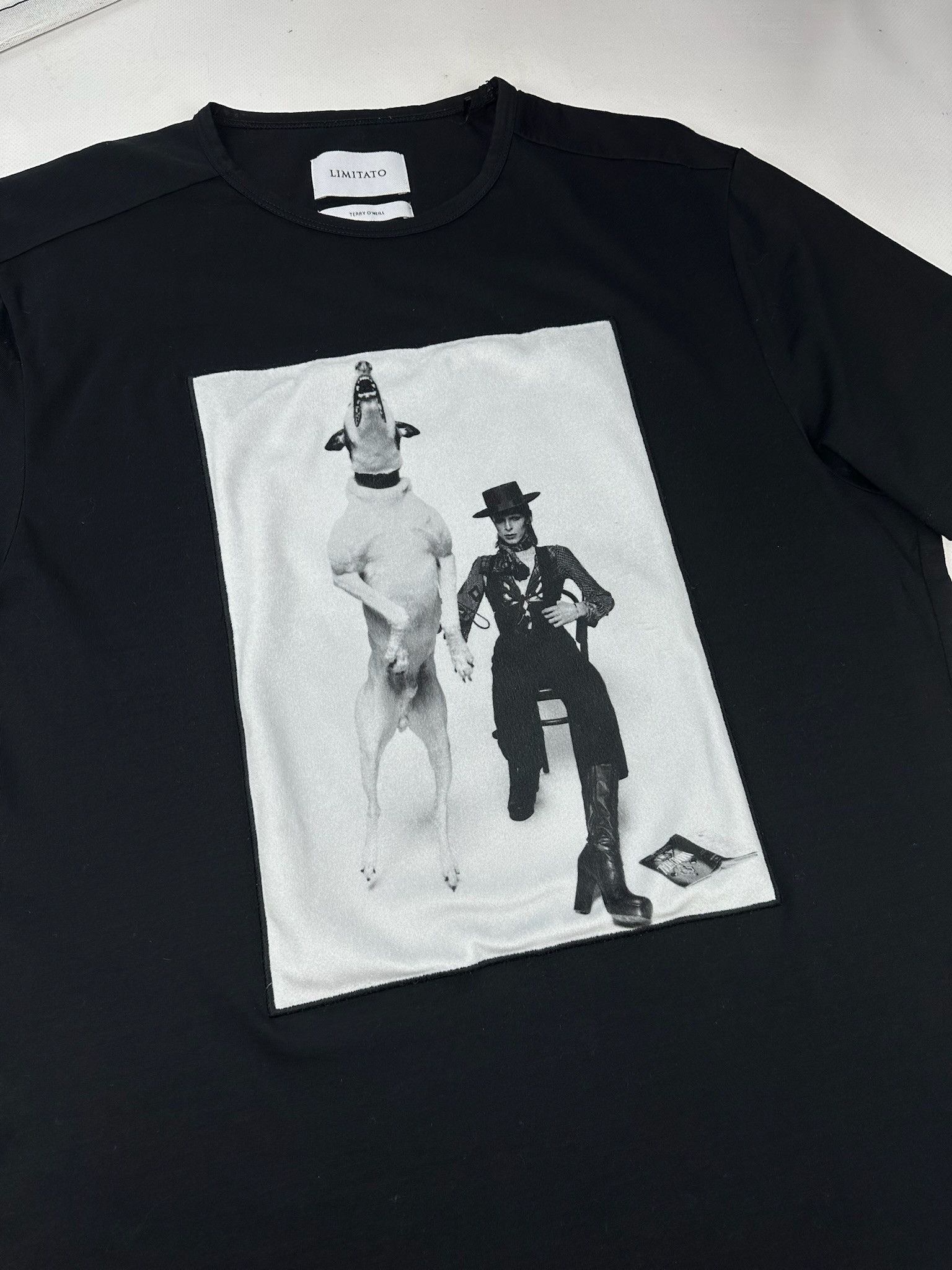 Limitato Limitato Art dog and david bowie T-Shirt Size US L / EU 52-54 / 3 - 2 Thumbnail