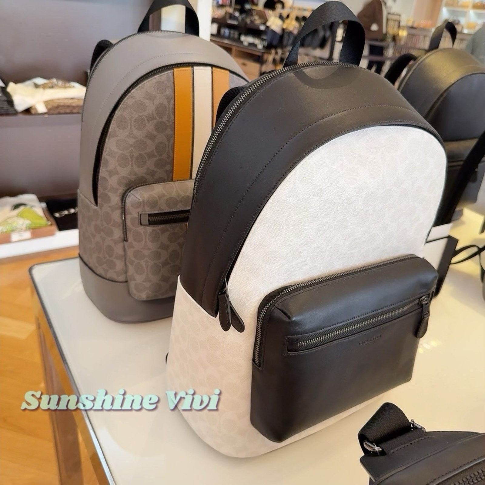 Coach NWT Coach West Backpack Cv925 Gunmetal/Chalk/Black Size ONE SIZE - 2 Thumbnail