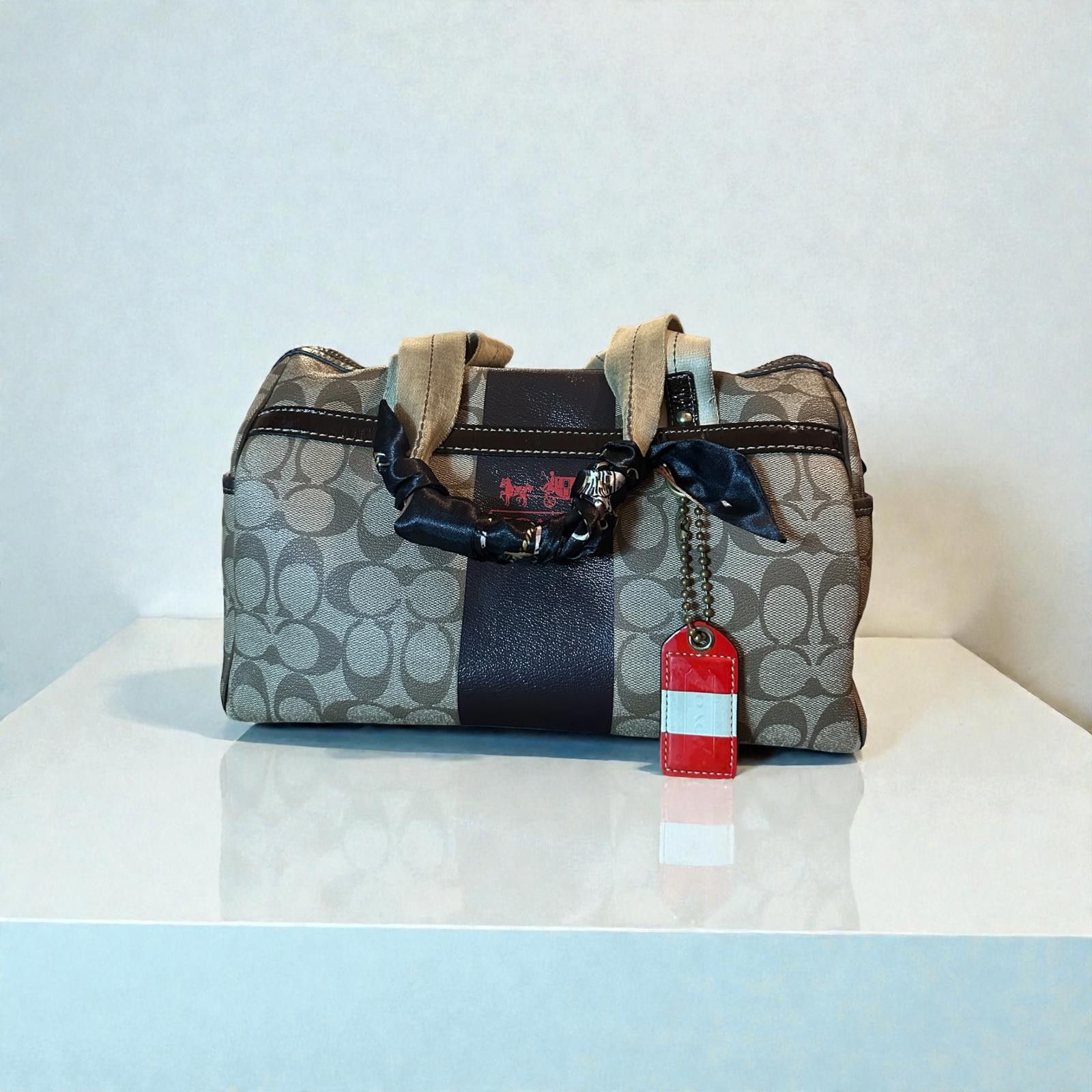 Coach Chelsea Jayden Carryall F17811 Leather
