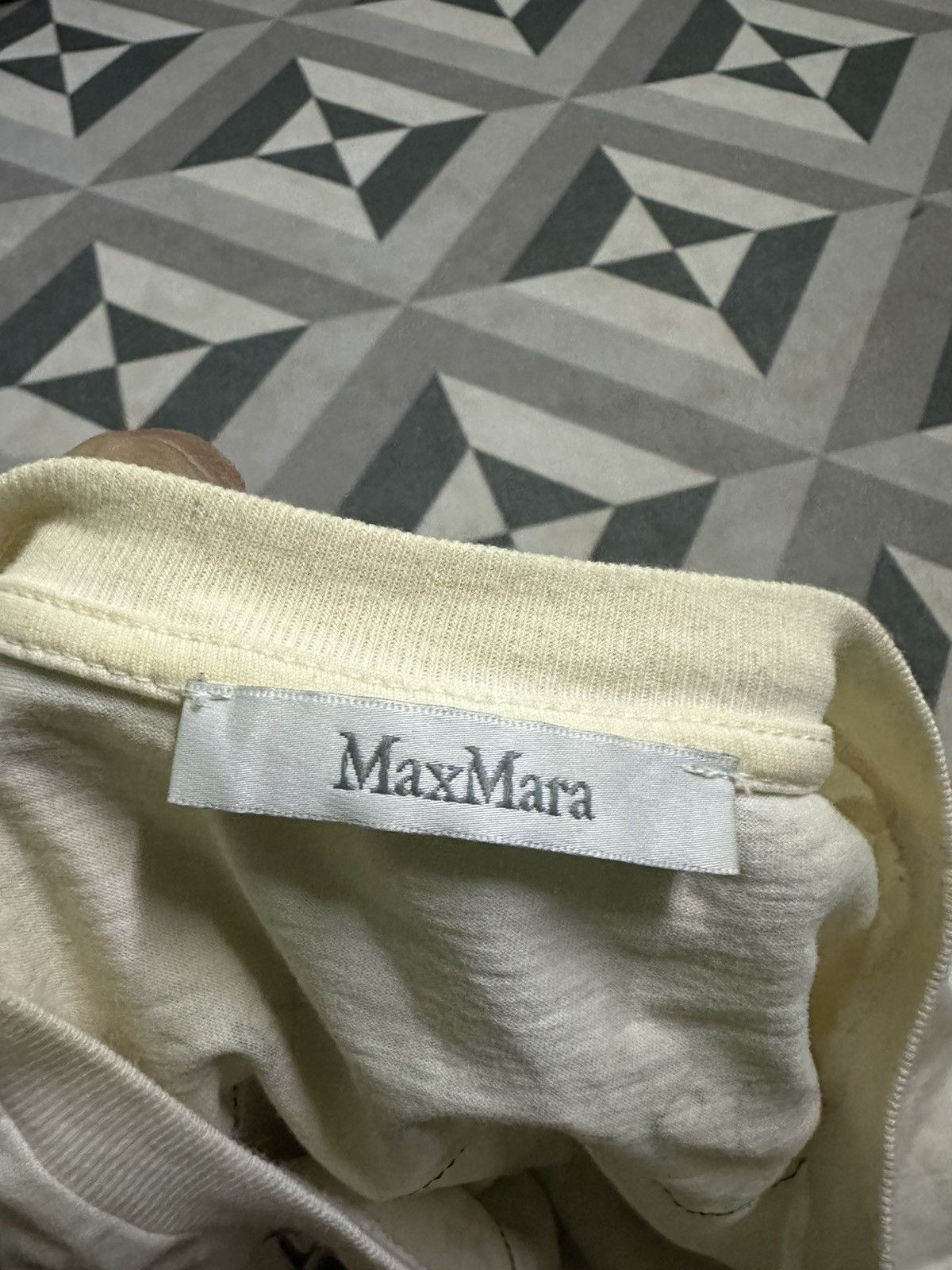 Max Mara Max Mara 2022 Omotesando Limited William Wegman Dog Photo Size M / US 6-8 / IT 42-44 - 6 Thumbnail
