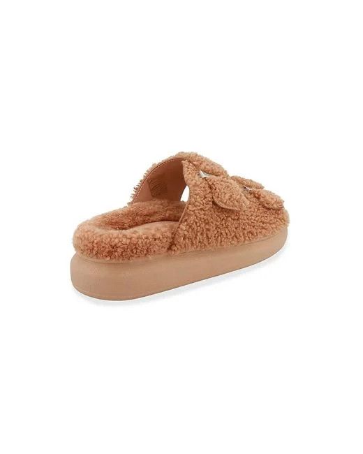 o1y0225 Slides in Brown