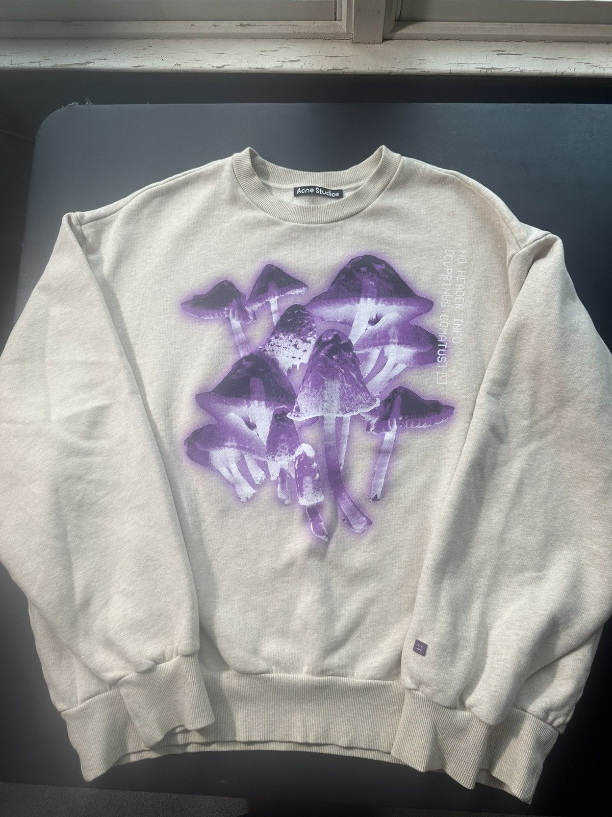 Acne Studios Acne Studios X-Ray Mushroom Graphic Sweatshirt Size US XL / EU 56 / 4 - 1 Thumbnail