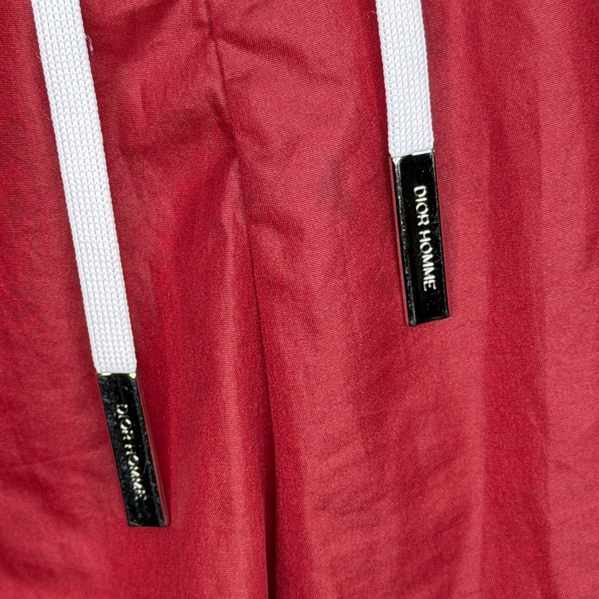 Dior Dior Homme Resort Designer Ares Nylon Summer Shorts Trunks Size US 33 - 5 Thumbnail