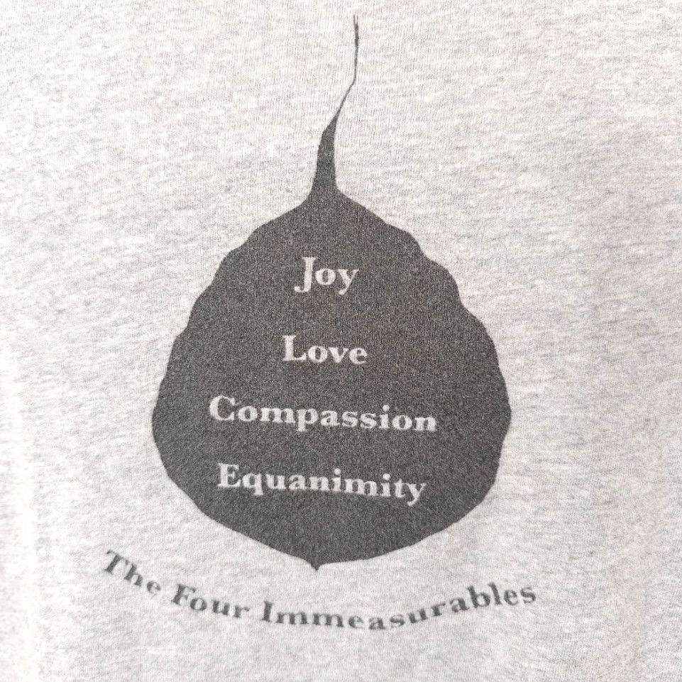 Vintage Garden Of One Thousand Buddhas T Shirt Mens Size Medium Gray Arlee Montana Size US M / EU 48-50 / 2 - 3 Thumbnail