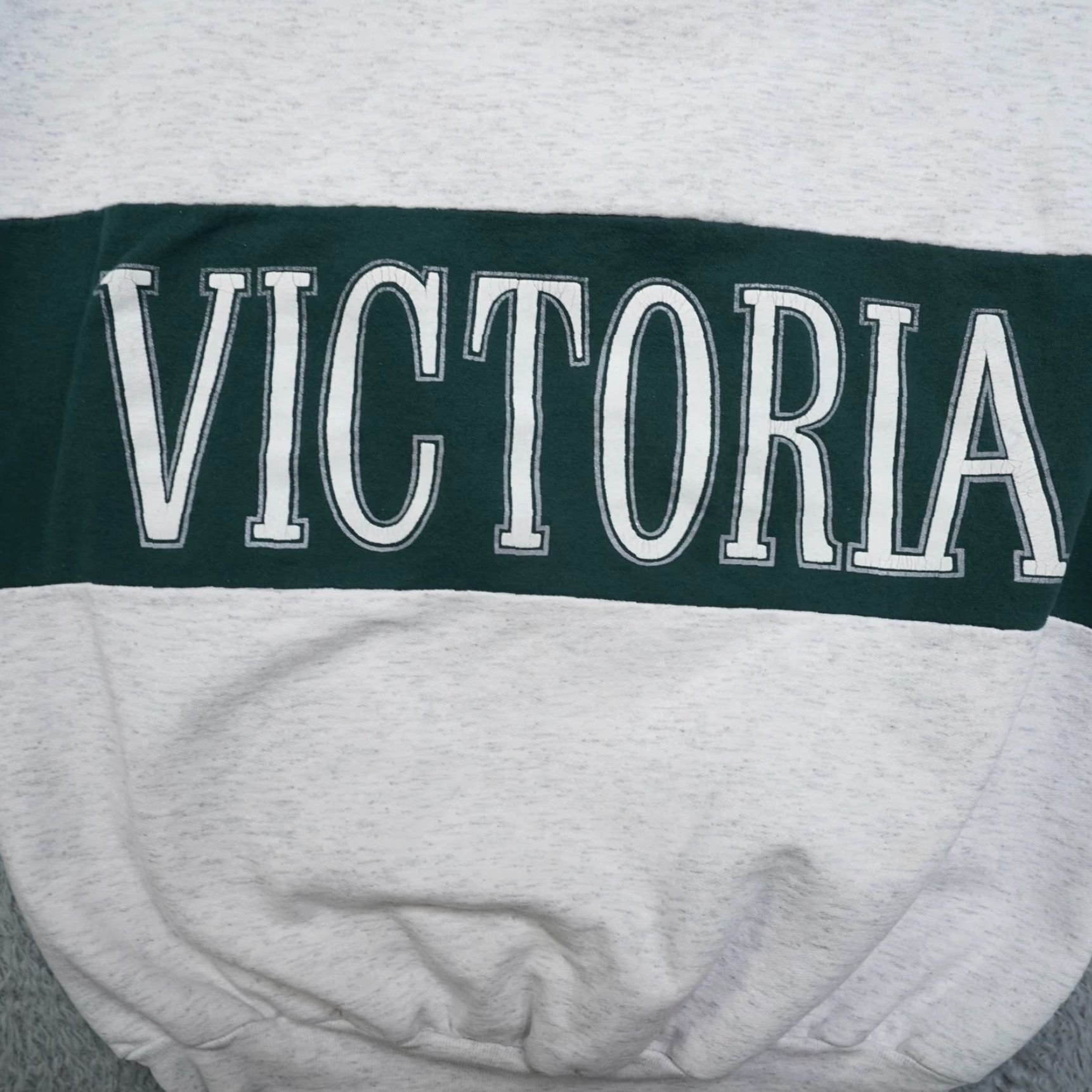 Fruit Of The Loom VINTAGE Victoria BC Pullover Sweatshirt XL Blue Graphic Print 90s Fruit of the Loom Mens Womens Unisex Adults Sweatshirt Size US XL / EU 56 / 4 - 5 Thumbnail