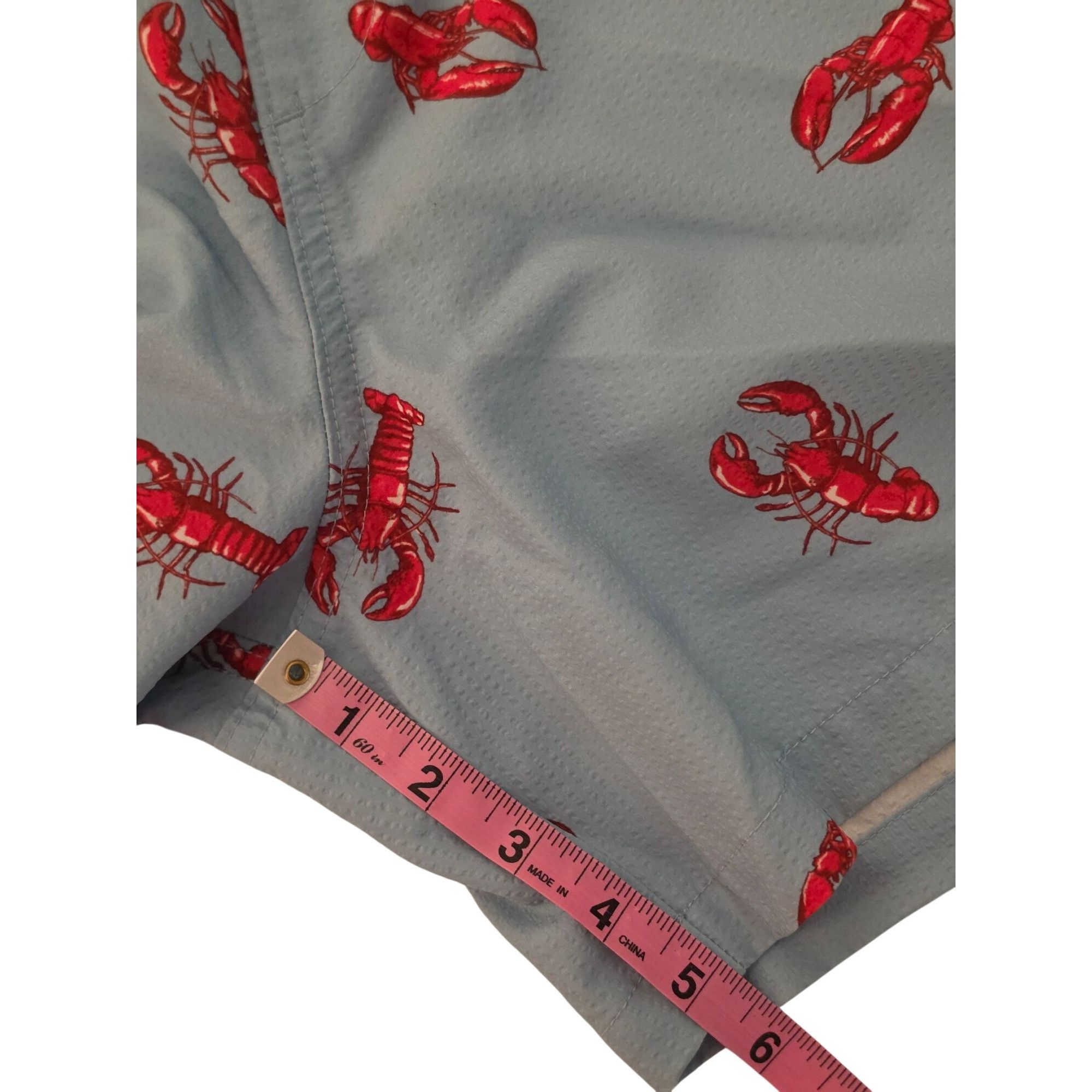 Hollister Hollister Lobster Swim Trunks Mens Small Blue Red Print Line Size US 28 / EU 44 - 9 Thumbnail