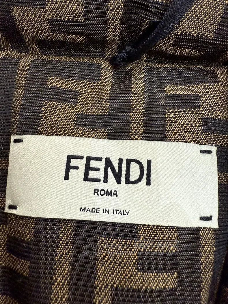 Fendi Fendi Brown monogram logo hooded down jacket Size XXS / US 00 / IT 34 - 4 Thumbnail