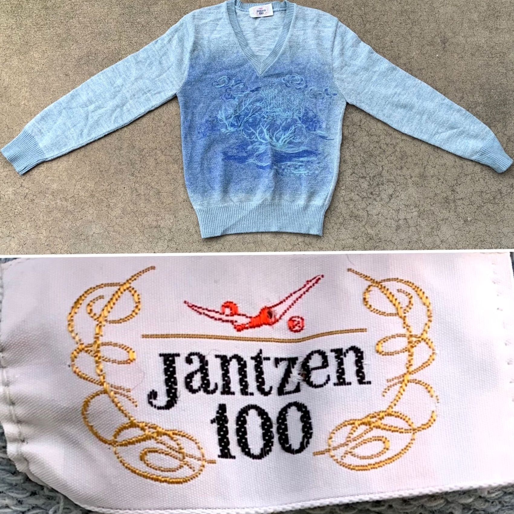 Jantzen VINTAGE Jantzen 100 Sweater Long Sleeve V-Neck Graphic Print Blue Size L Menskeletal Size US L / EU 52-54 / 3 - 2 Thumbnail