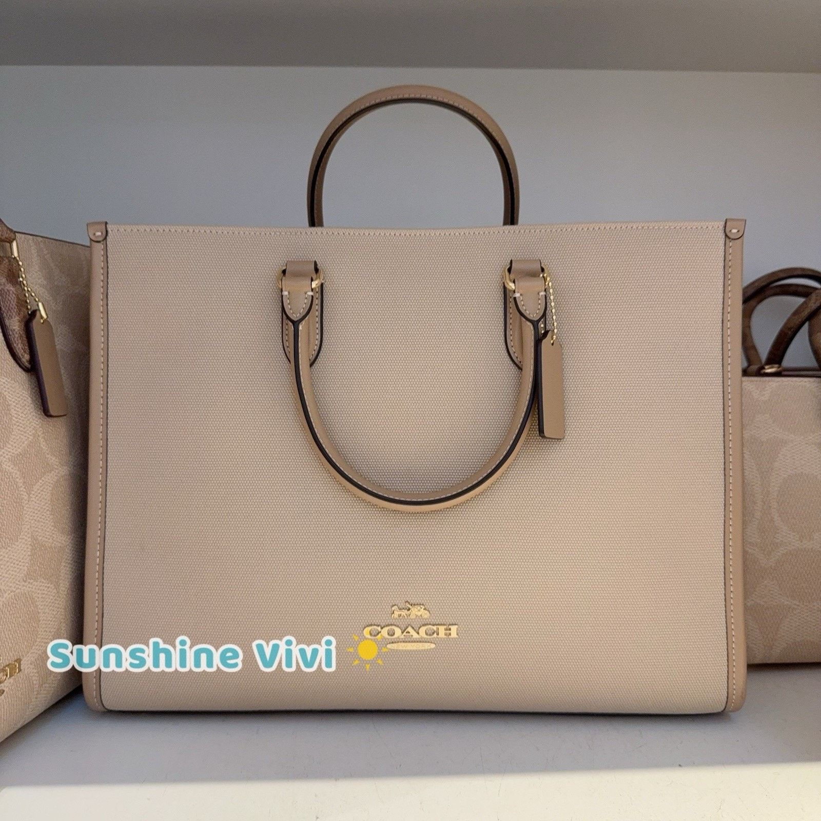 NWT Coach Maggie Tote Bag Colorblock Dark Natural Cak59, Women's