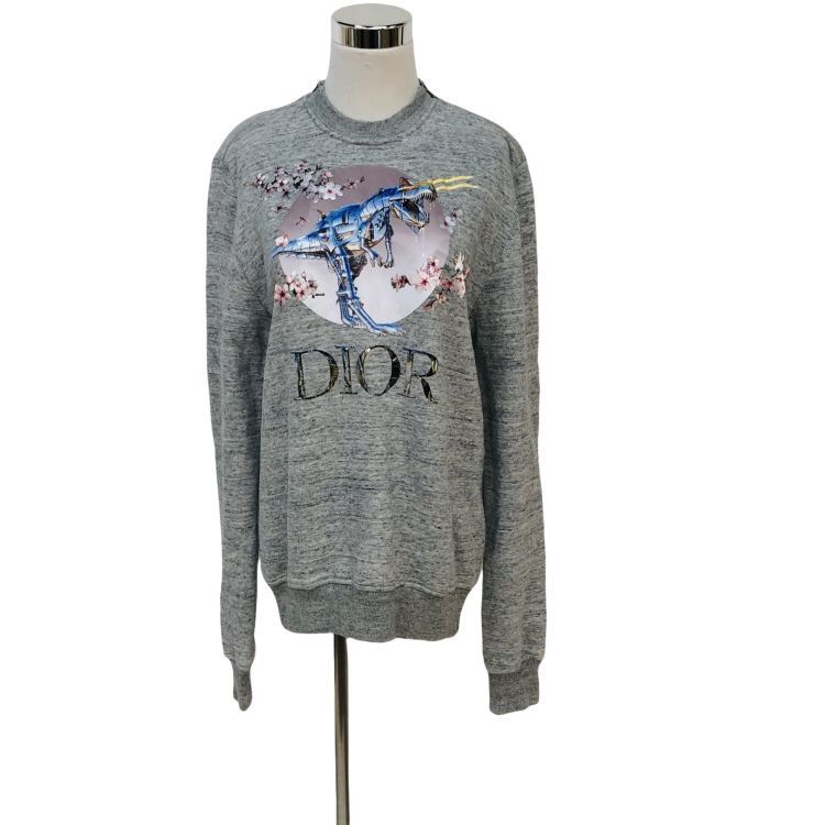 Dior Dior T-Rex Graphic Sweatshirt Size S Size US S / EU 44-46 / 1 - 1 Thumbnail