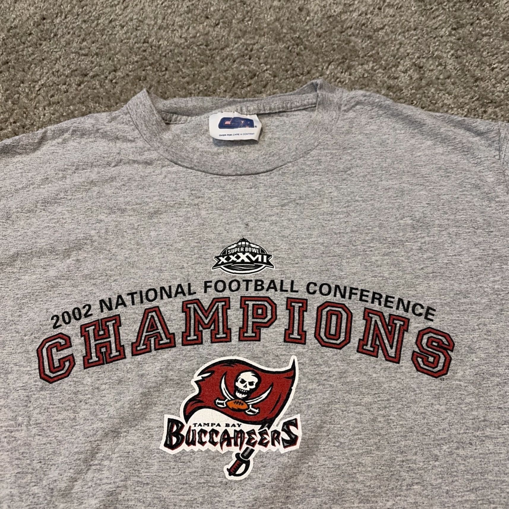 NFL VINTAGE Tampa Bay Buccaneers Super Bowl XXXVII Champs 2003 NFL T-Shirt Large Gray Mens L Size US L / EU 52-54 / 3 - 3 Thumbnail