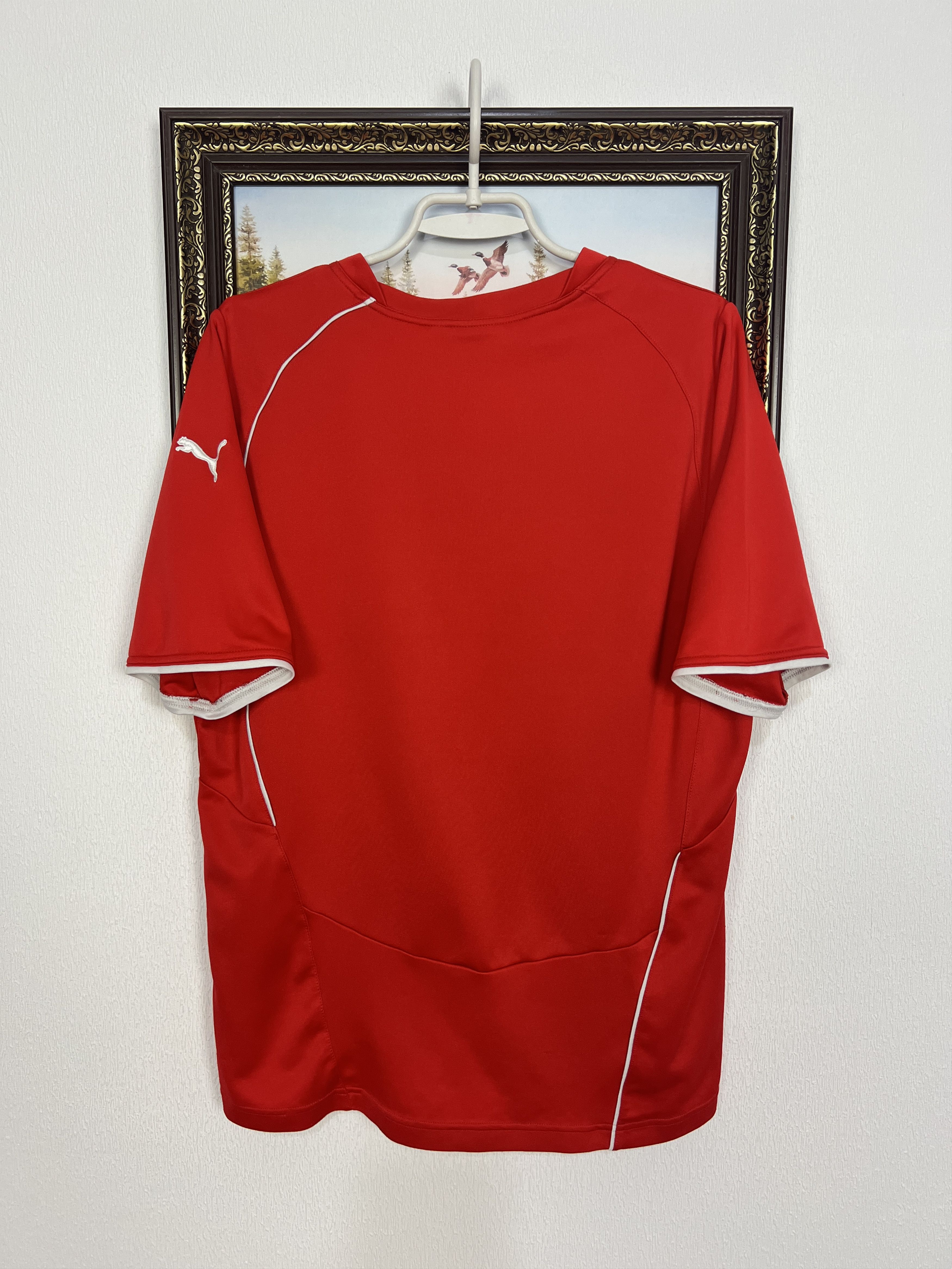 Puma Fortuna Dusseldorf Football Shirt Soccer Jersey Trikot Size US M / EU 48-50 / 2 - 9 Thumbnail