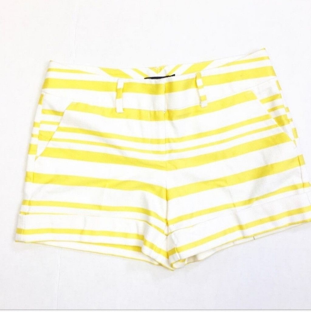 Other EUC 7th Avenue Design Studio By New York & Co.Striped Shorts Size 27" / US 4 / IT 40 - 3 Thumbnail