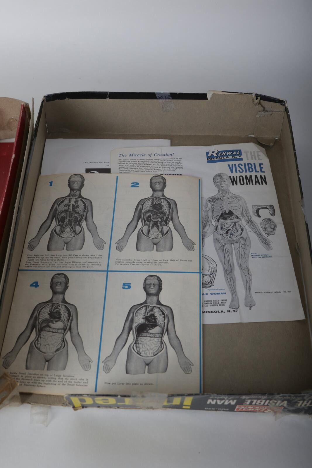 Urban Renewal 60's Renwal The Invisible Man Anatomy Model Kit Size ONE SIZE - 8 Thumbnail