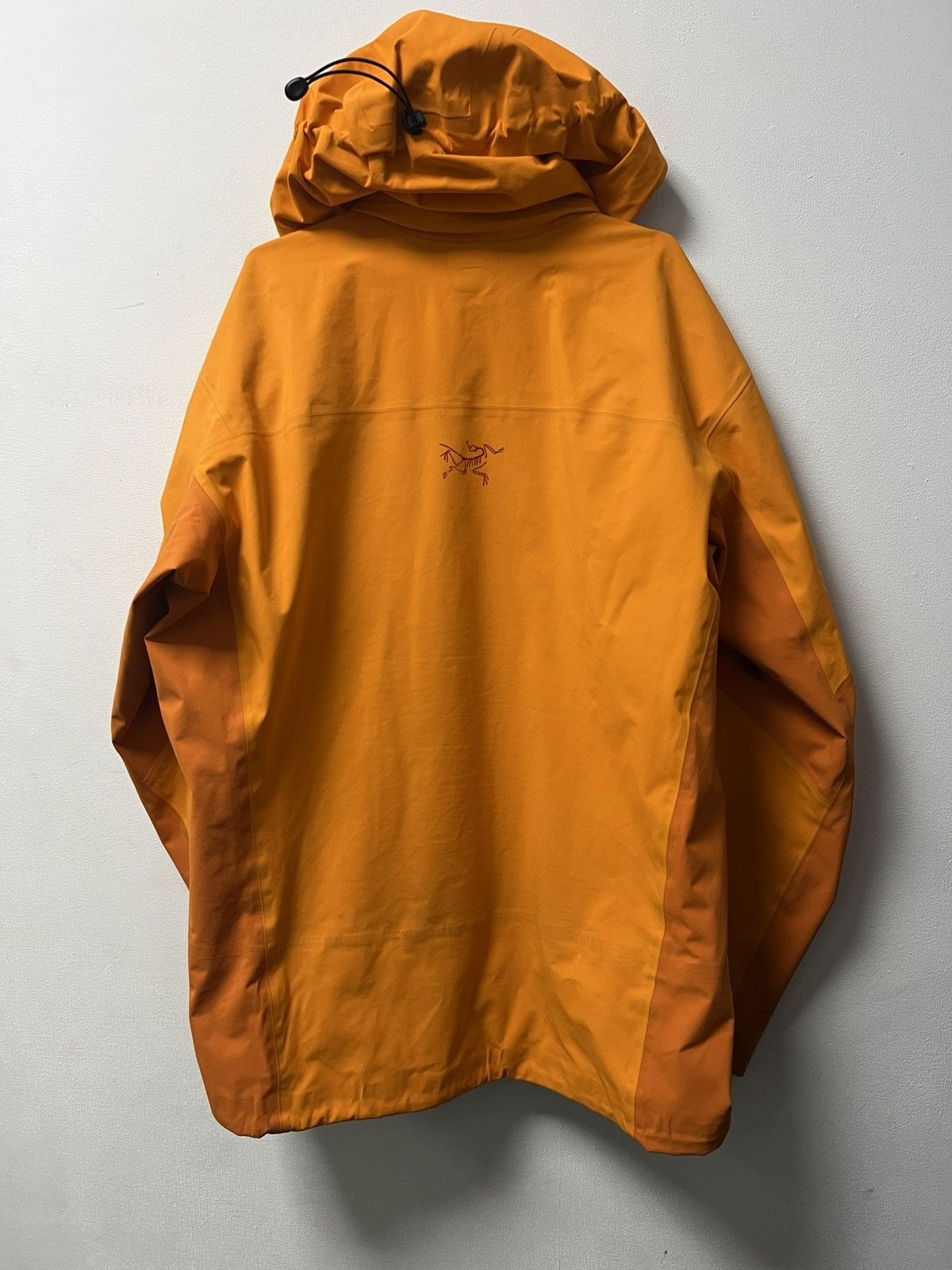 Arc'teryx Men's Arcteryx Beta Gore-Tex Jacket Size L Size US L / EU 52-54 / 3 - 14 Thumbnail