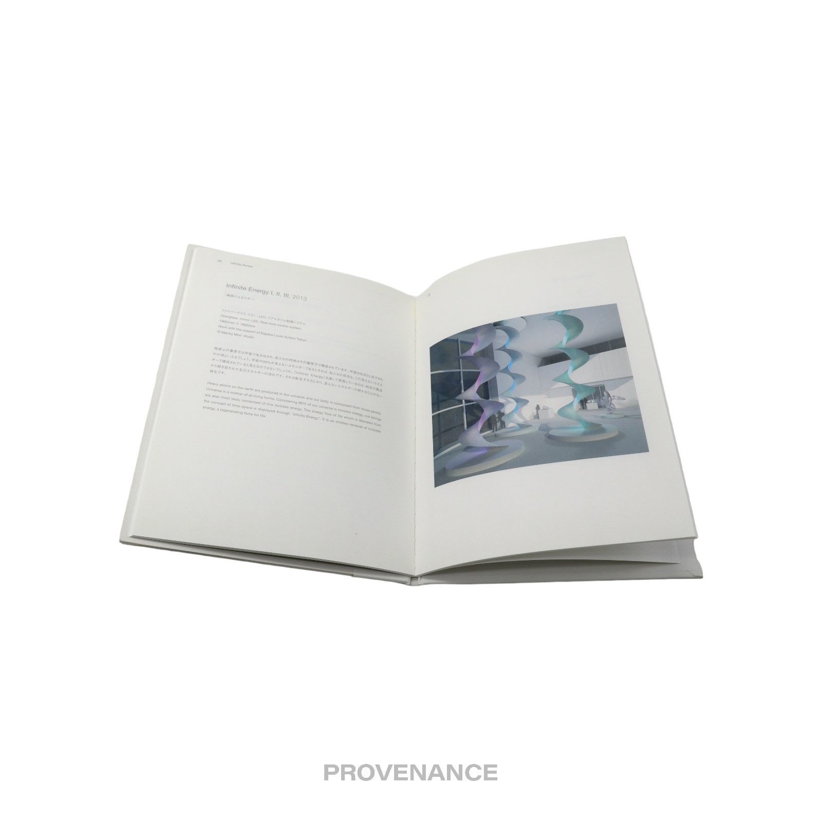 Louis Vuitton 🔴 Louis Vuitton INFINITE RENEW Espace Art Book Size ONE SIZE - 5 Thumbnail