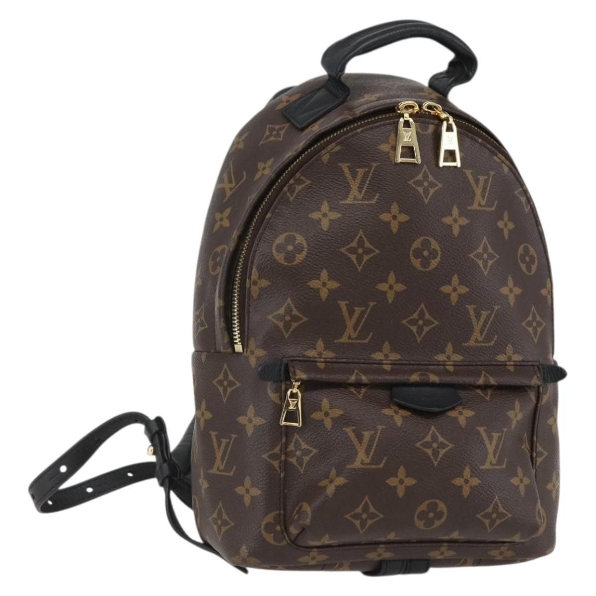 Louis Vuitton Louis Vuitton Palm Springs Backpack Monogram Canvas Size ONE SIZE - 1 Thumbnail