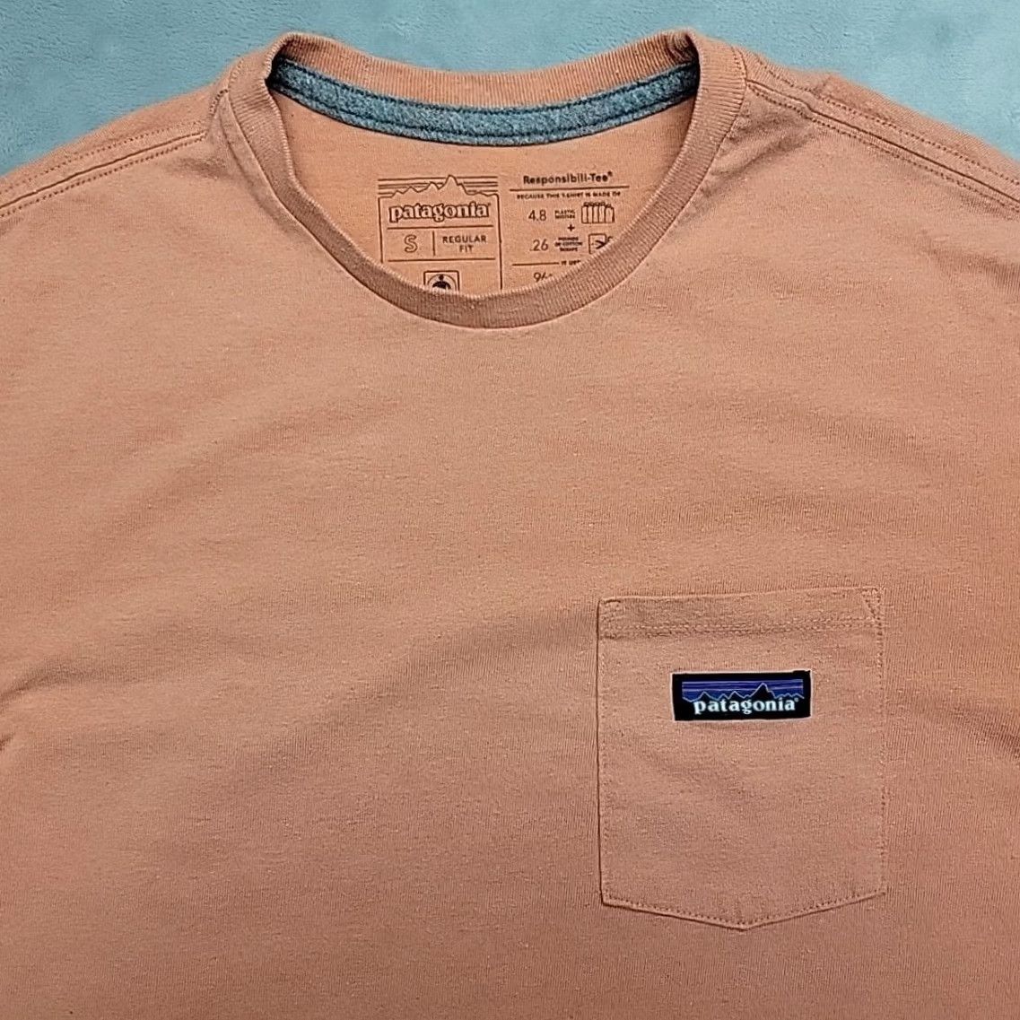 Patagonia Patagonia Shirt Men S Salmon Responsibili-tee Short Sleeve Recycled Fair Trade Shirt Mens S Pink Graphic Print Nature Outdoor 90s Style Size US S / EU 44-46 / 1 - 4 Thumbnail
