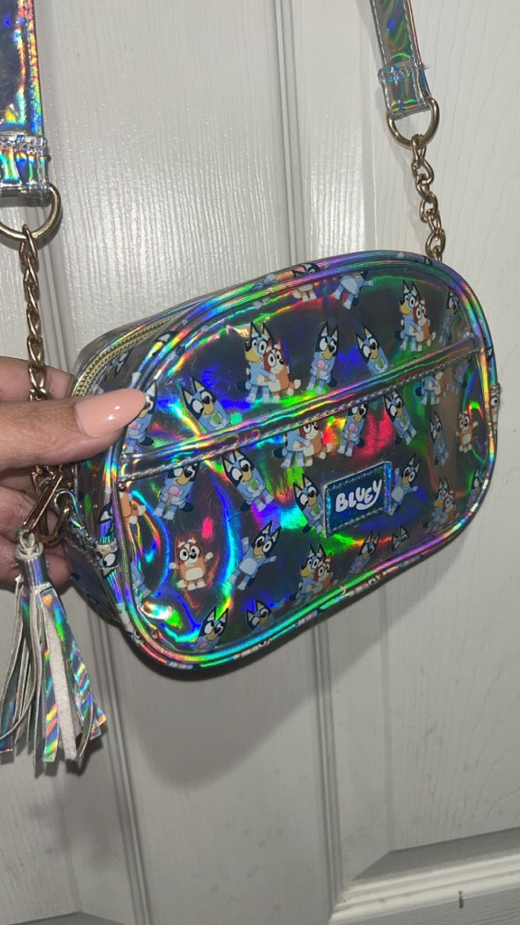 The Unbranded Brand bluey Crossbody Bag One Size Silver Bluey Holographic Size ONE SIZE - 1 Thumbnail