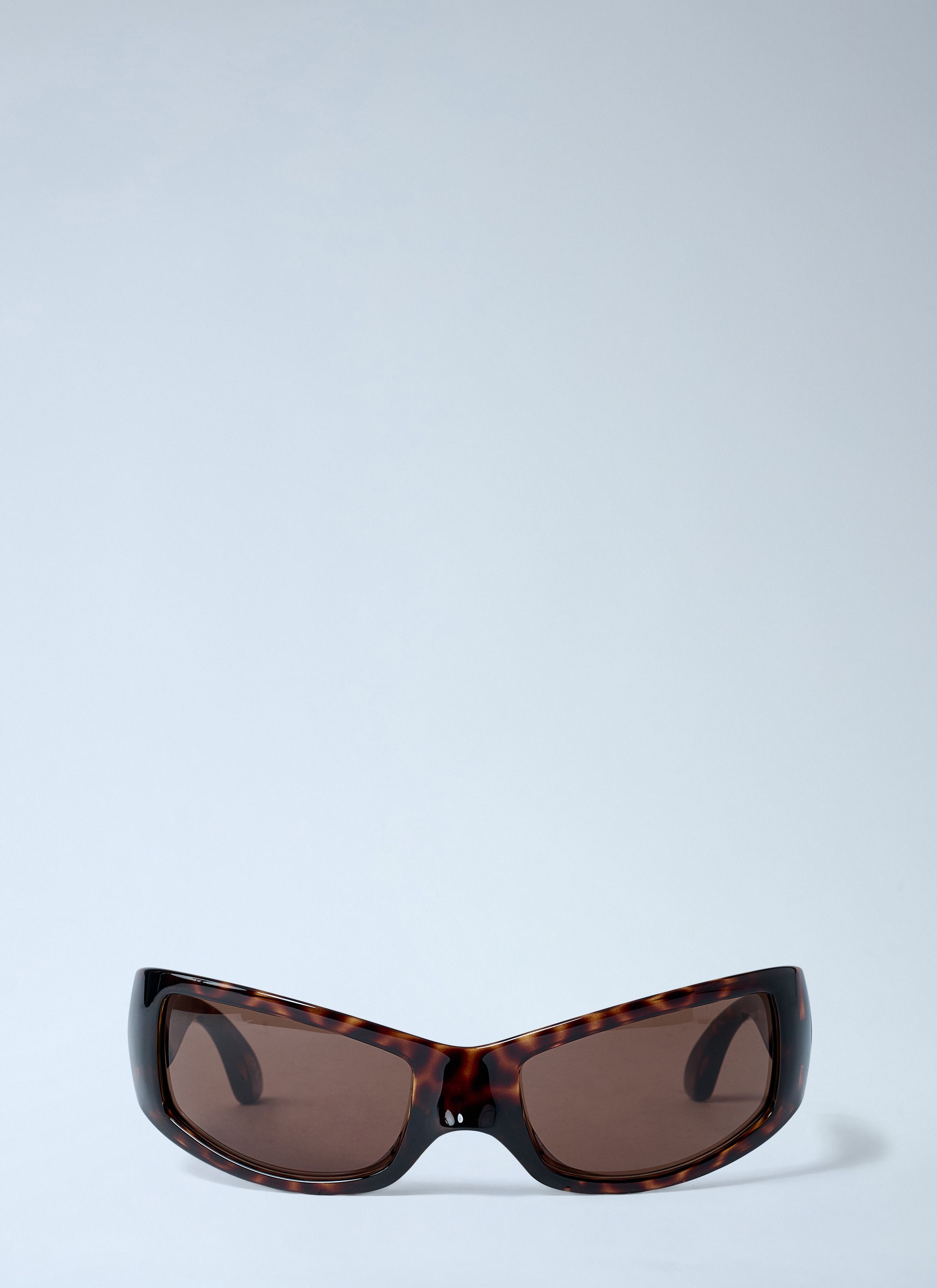 Raven Cat Sunglasses