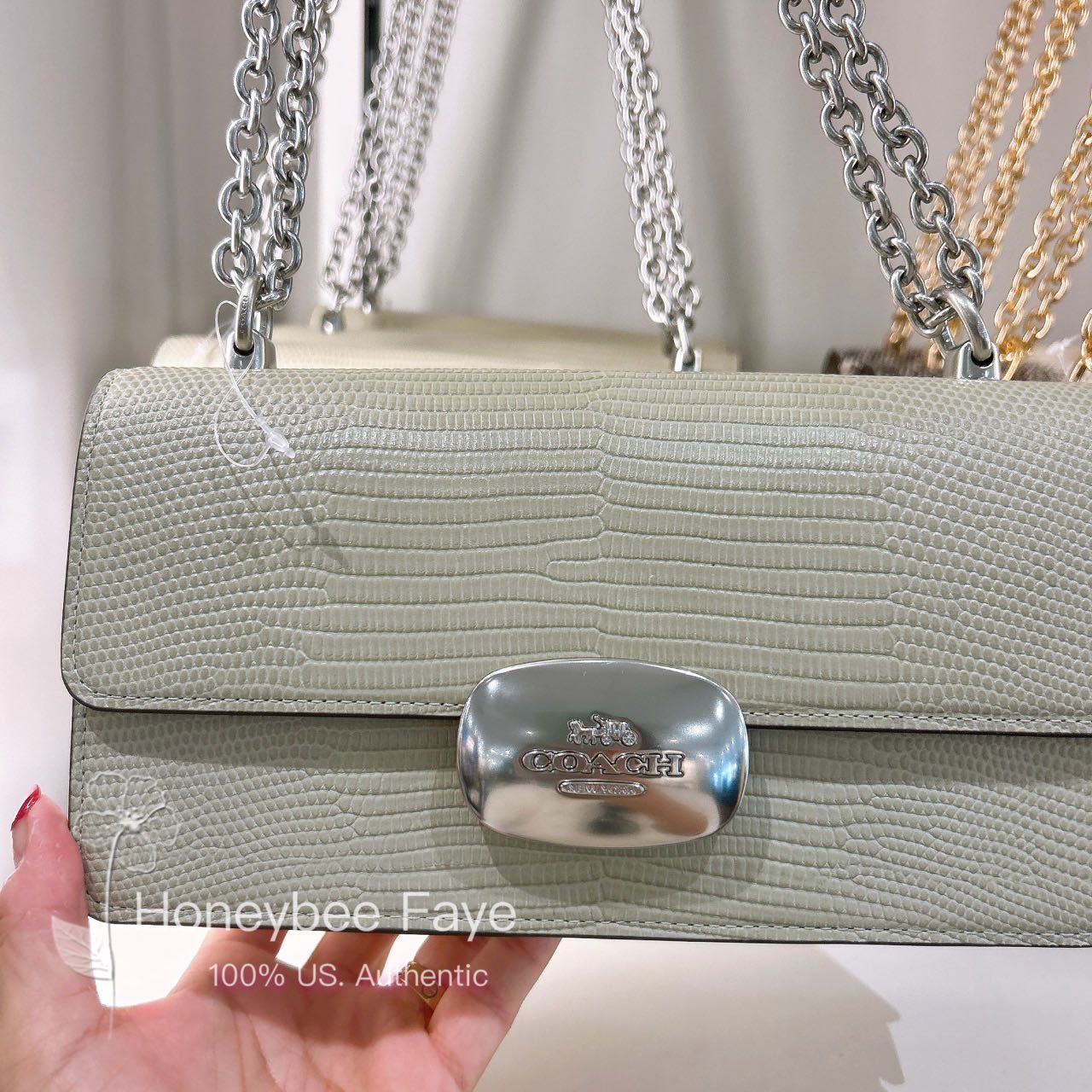 image of Coach Eliza Flap Crossbody in Silver/Pale Green, Women's