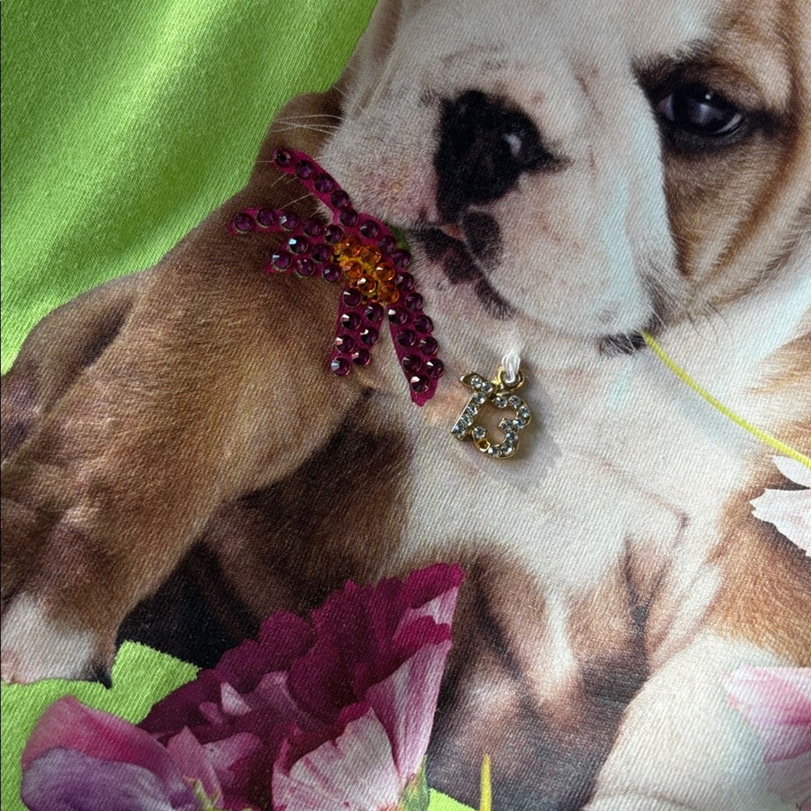 Other NWT Swarovski Lime Green Blouse with Puppy and Floral Size M Size M / US 6-8 / IT 42-44 - 6 Thumbnail