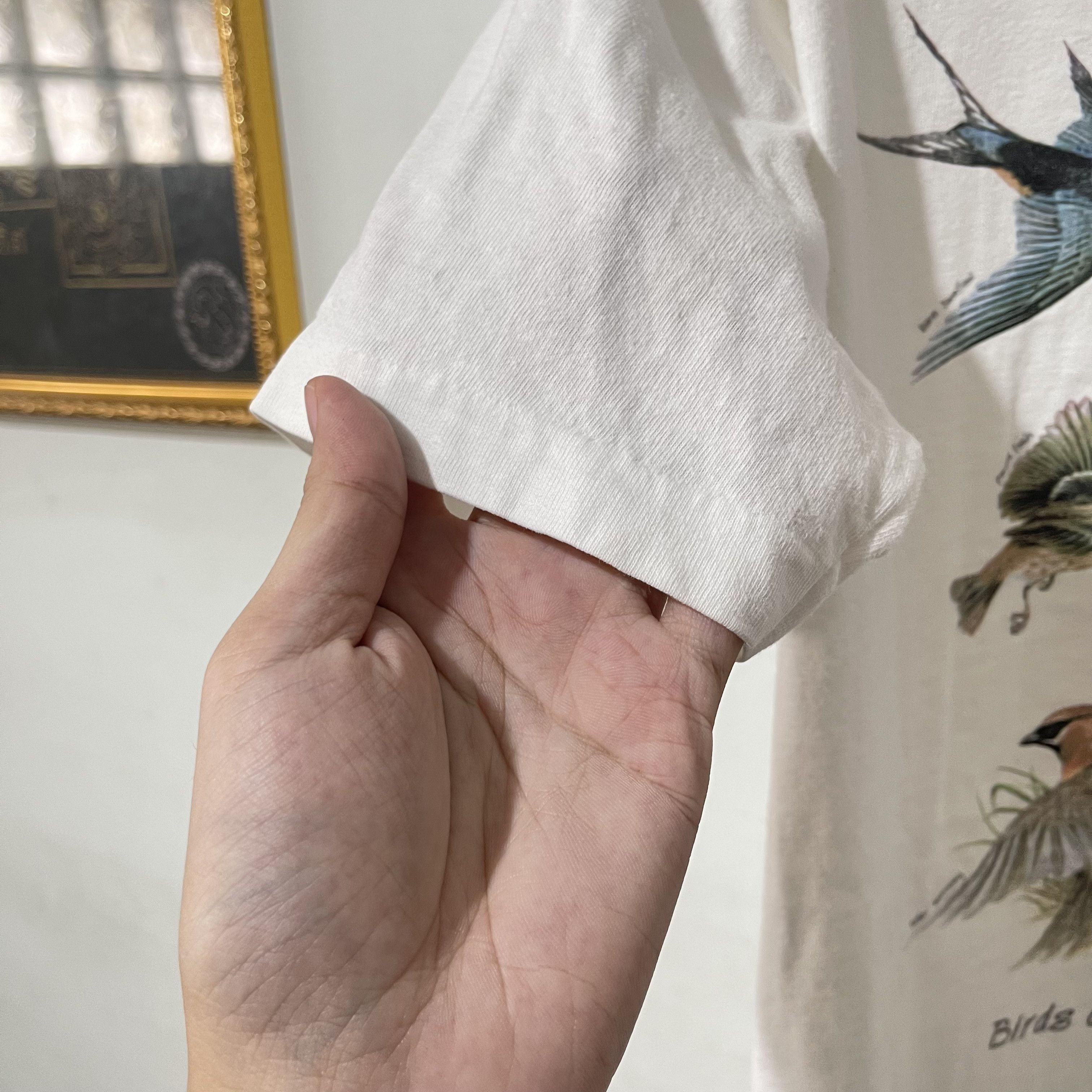 Vintage Vintage 90s Birds of the Sierra T-Shirt Size US M / EU 48-50 / 2 - 5 Thumbnail